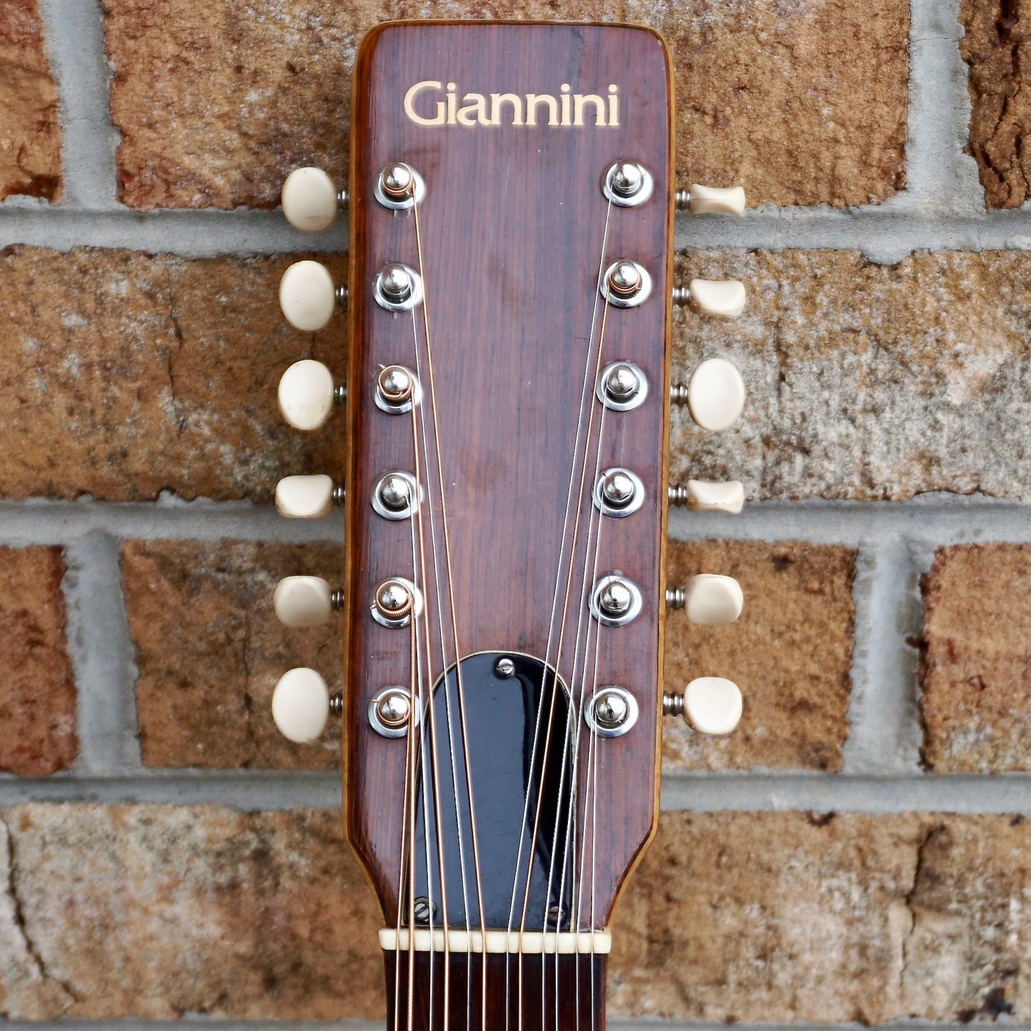 Giannini AWS 680 12 String 1974 Sitka/Brazilian Rosewood