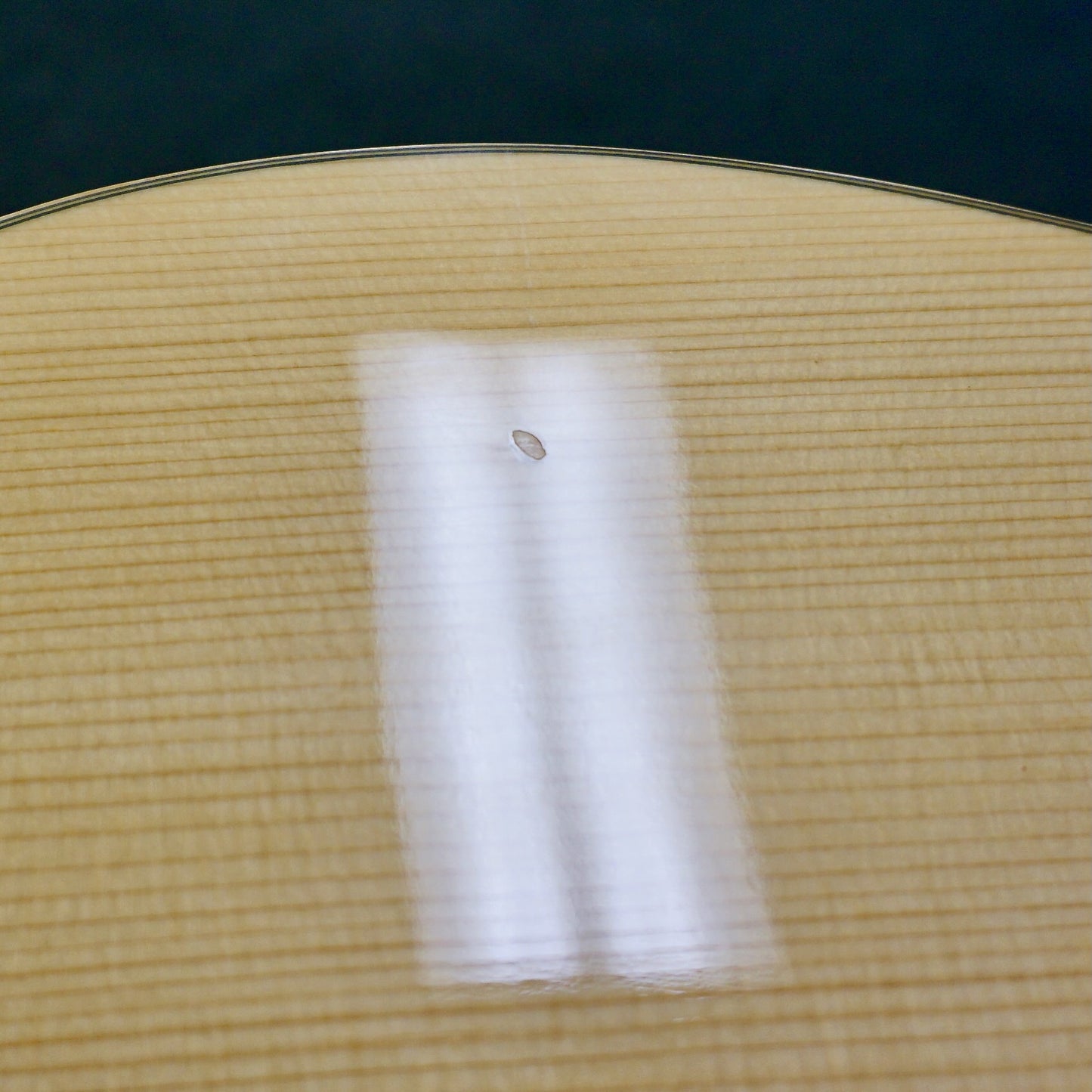 Giannini AWS 680 12 String 1974 Sitka/Brazilian Rosewood