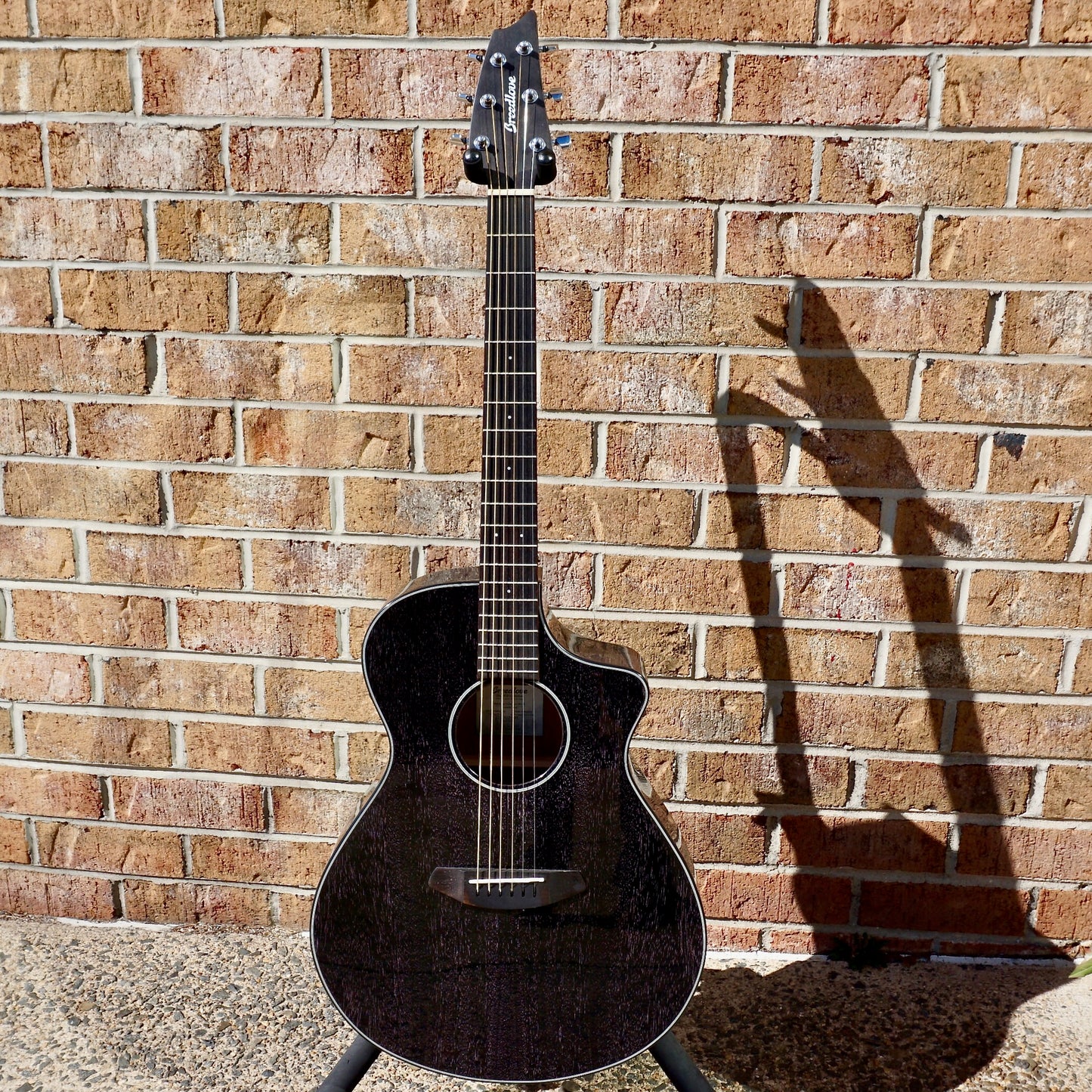 Breedlove Rainforest S Concert Night Sky Ice