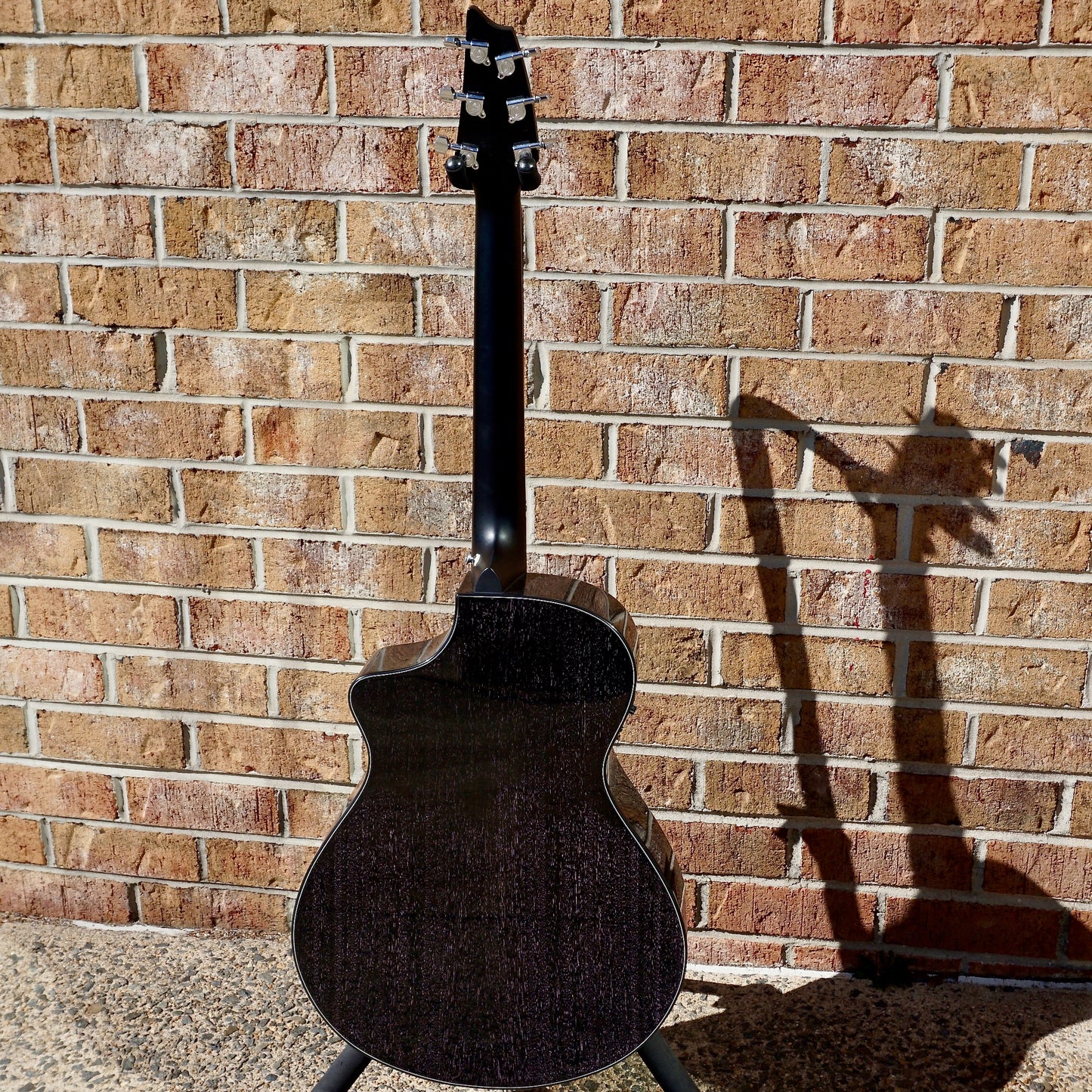 Breedlove Rainforest S Concert Night Sky Ice