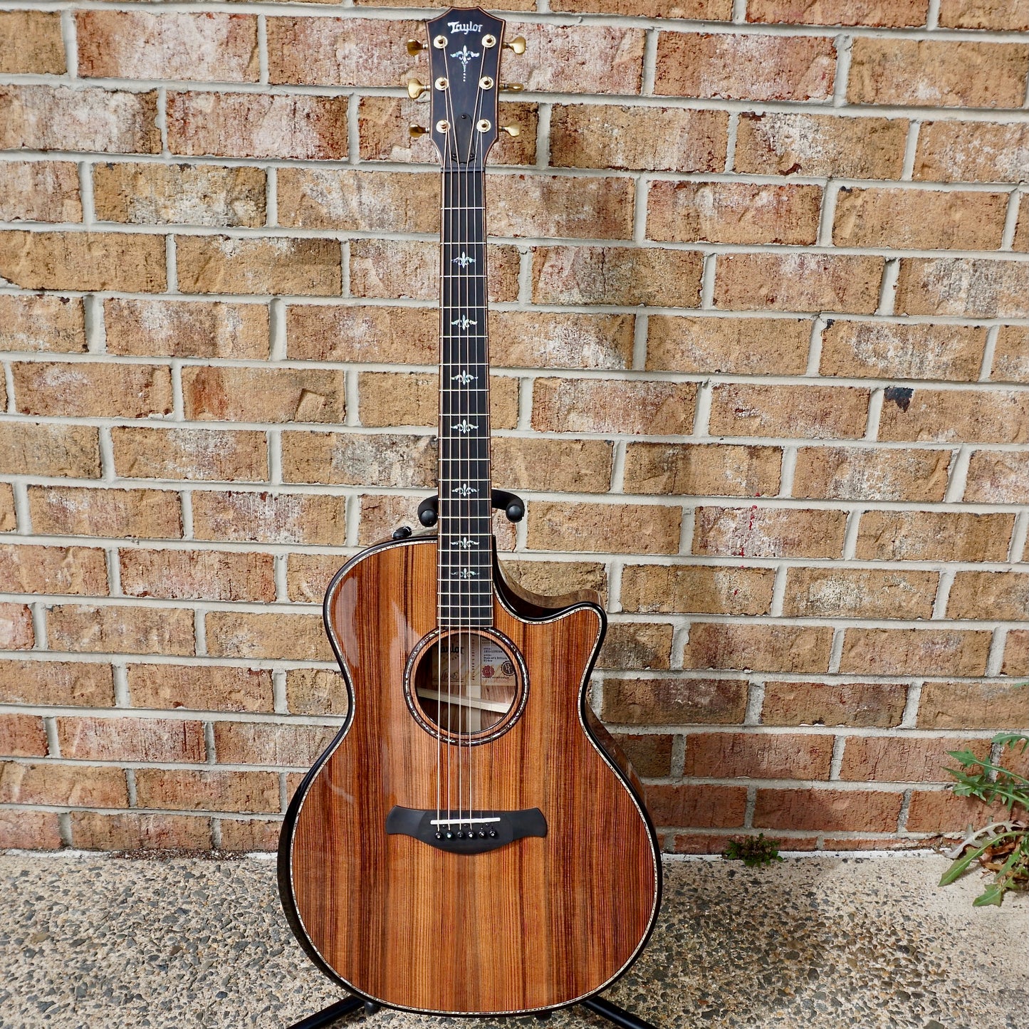 Taylor Builder's Edition 914ce