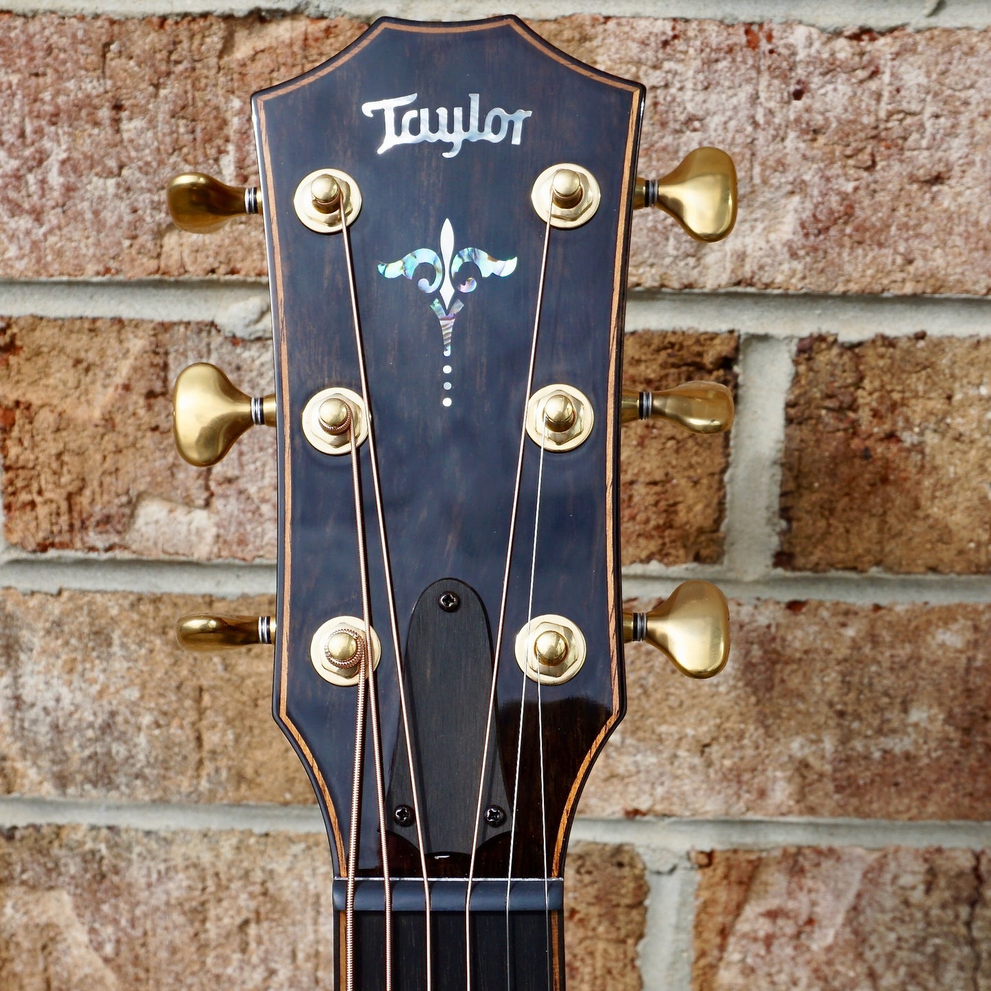 Taylor Builder's Edition 914ce
