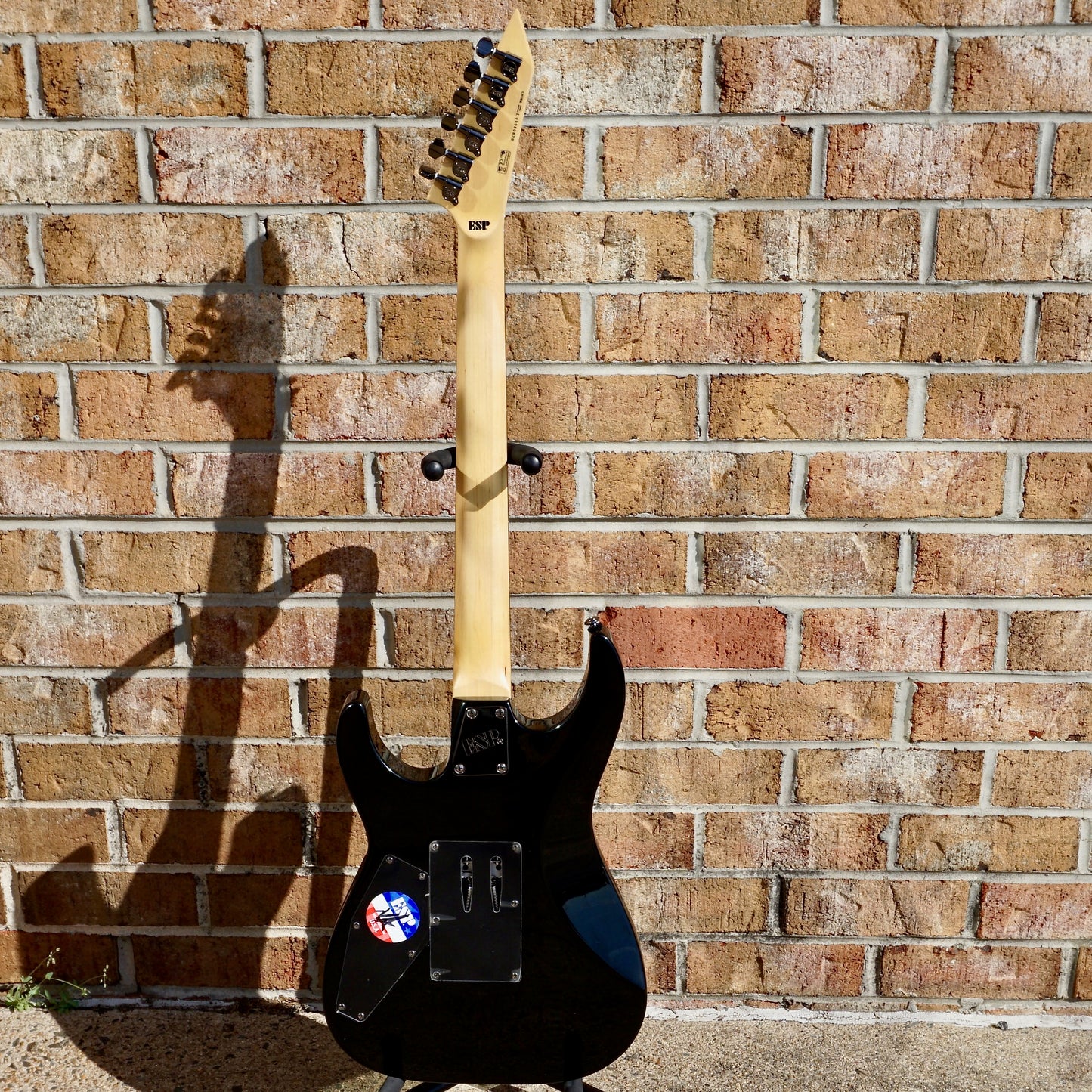 ESP LTD KH-202 w/ Coffin Case