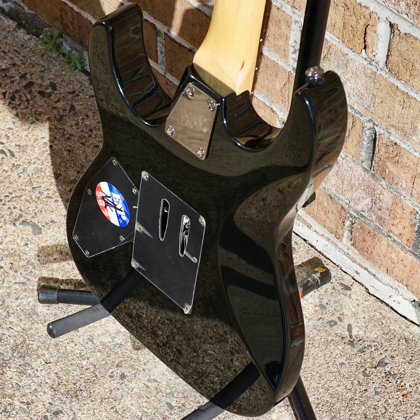 ESP LTD KH-202 w/ Coffin Case