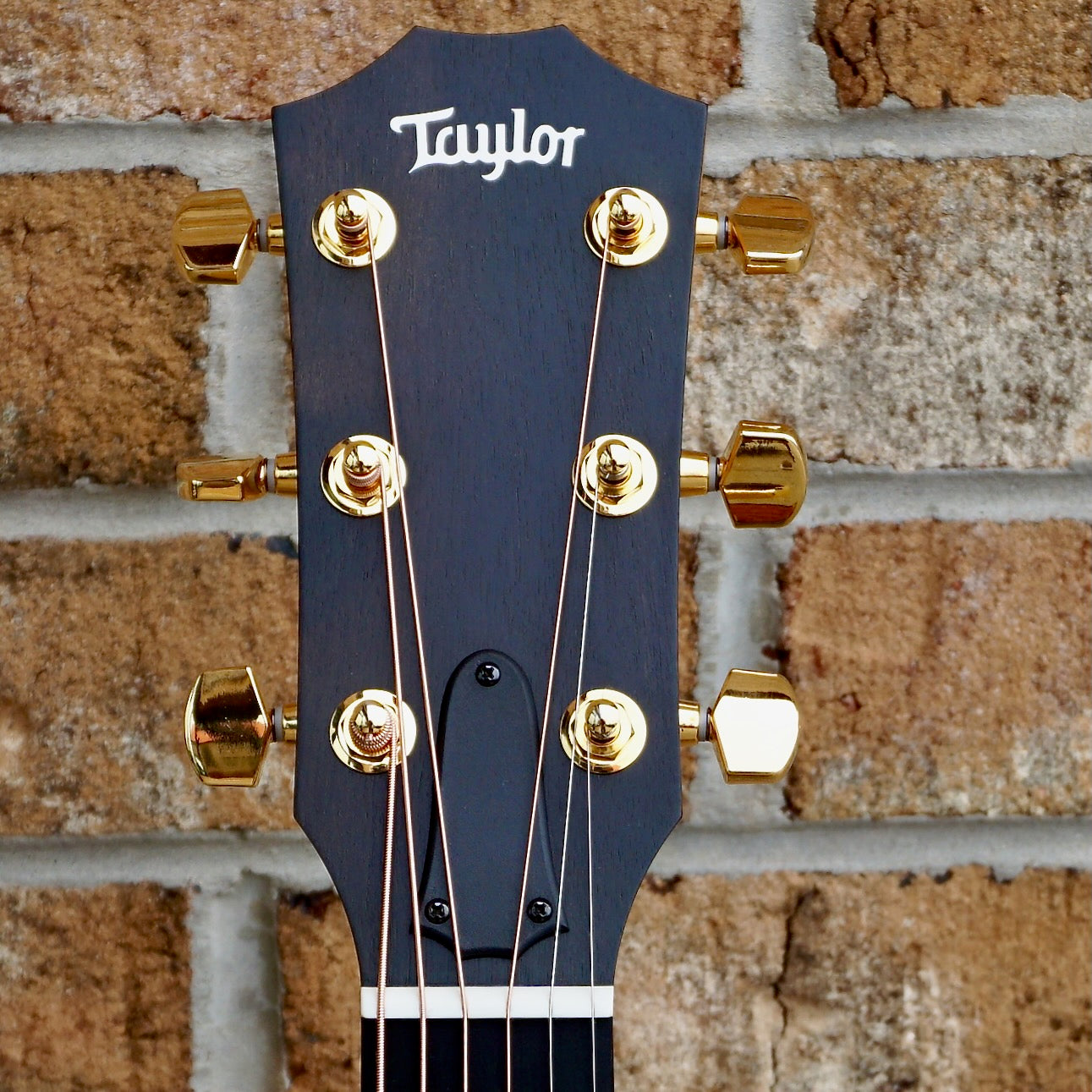 Taylor 50th Anniversary 217e-SB Plus LTD