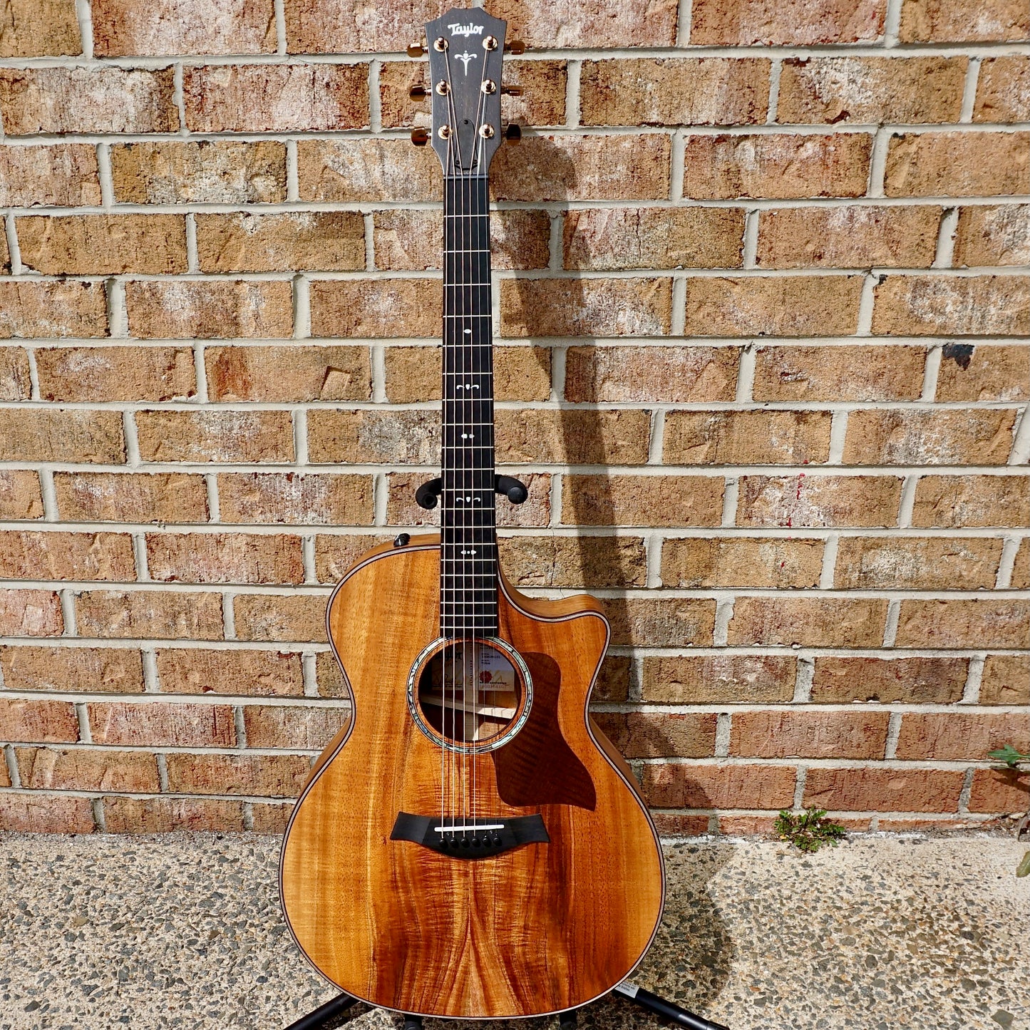 taylor 724ce