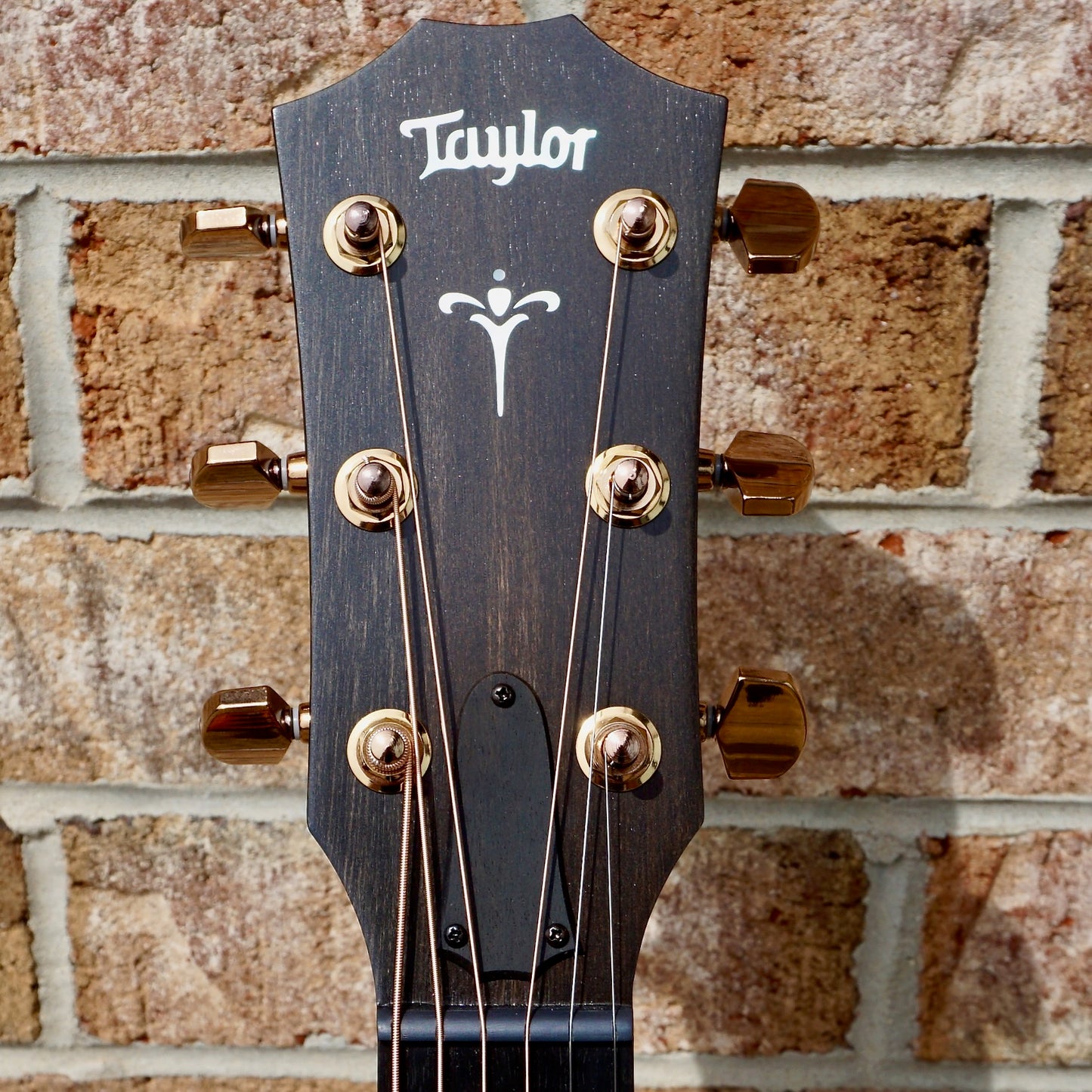 taylor 724ce