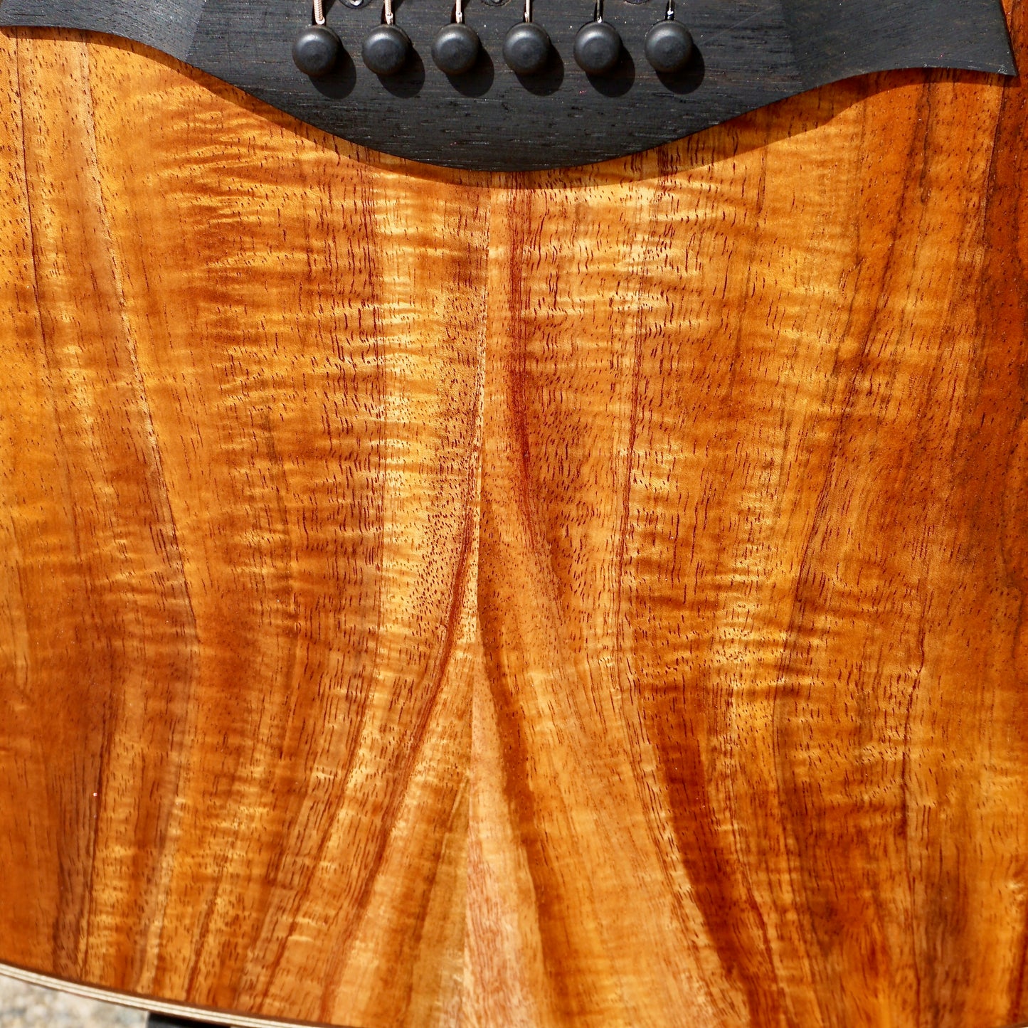 taylor 724ce