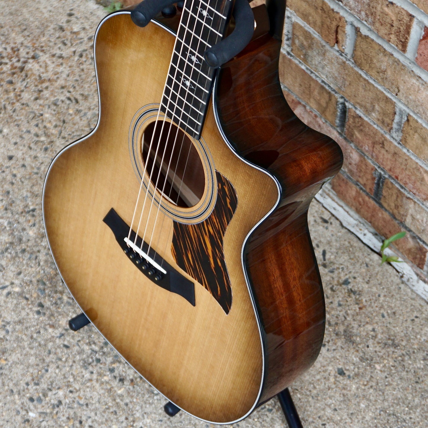 Taylor 50th Anniversary 314ce LTD