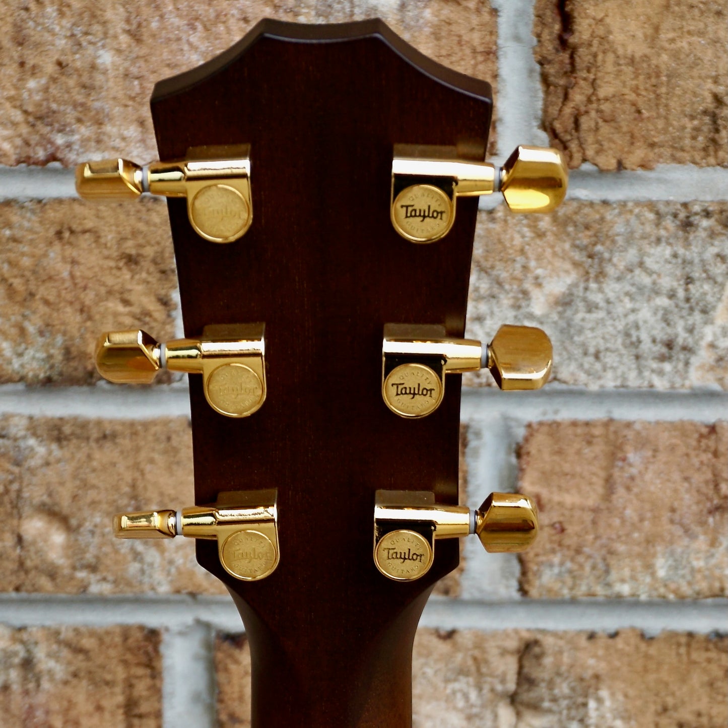 Taylor 50th Anniversary 314ce LTD