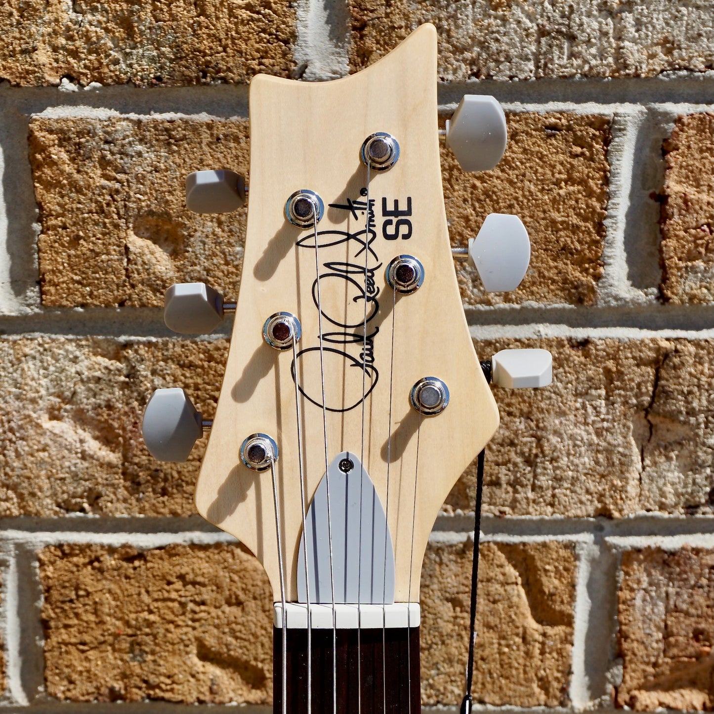 PRS SE Silver Sky Rosewood Storm Gray