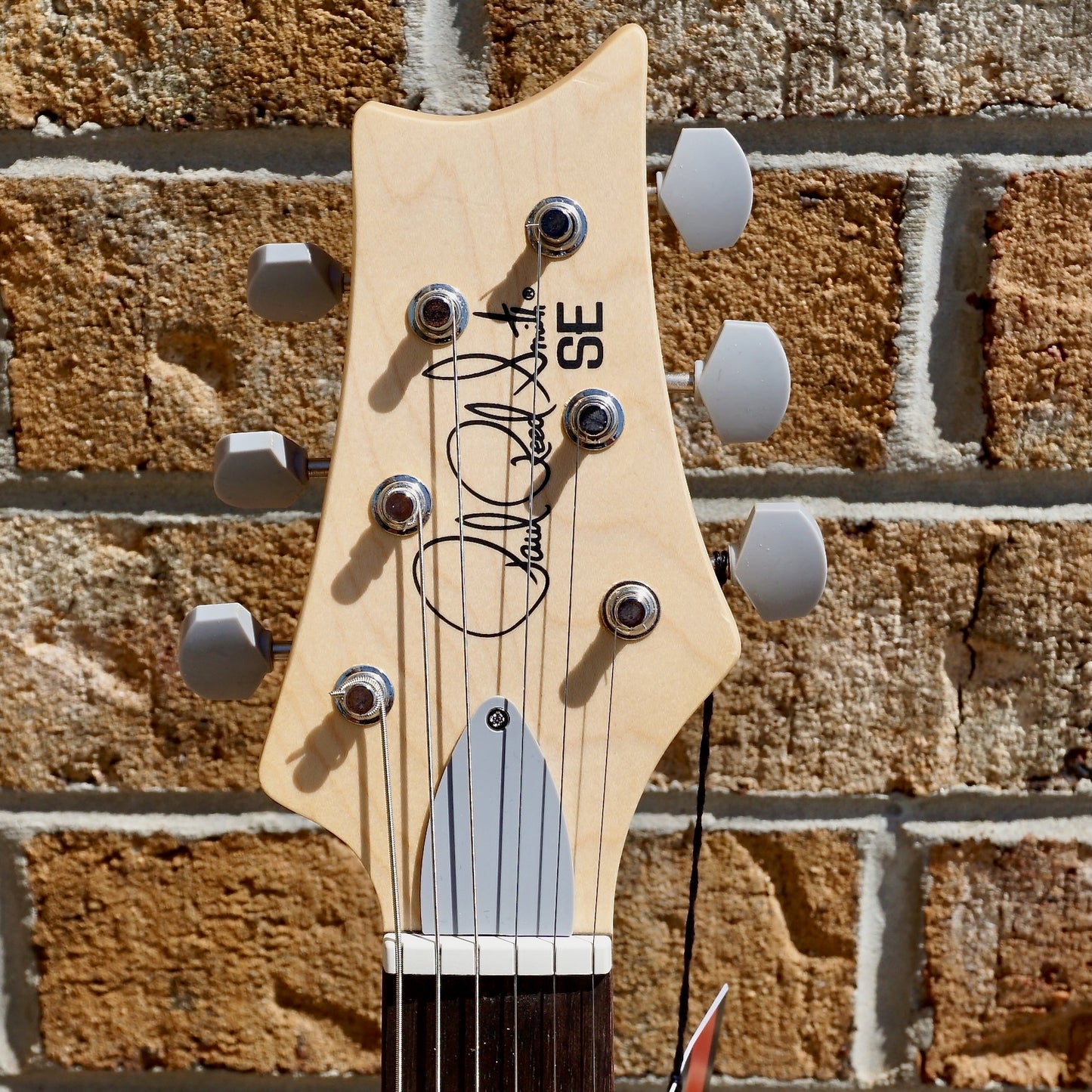 PRS SE Silver Sky Rosewood Storm Gray