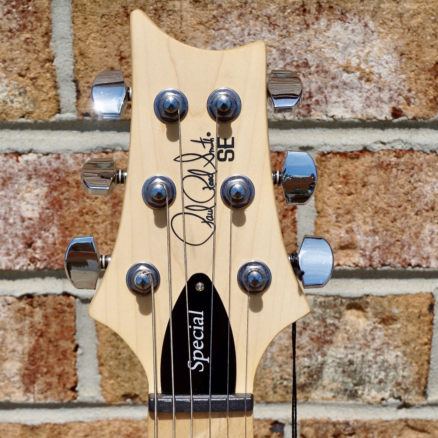 PRS SE Swamp Ash Special Iri Blue