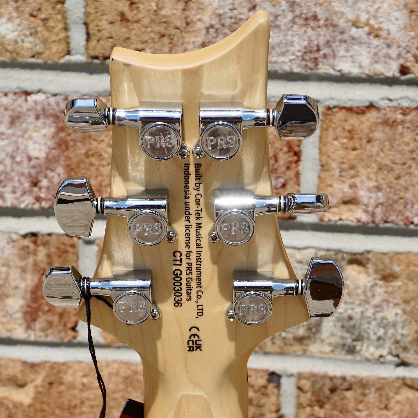 PRS SE Swamp Ash Special Iri Blue