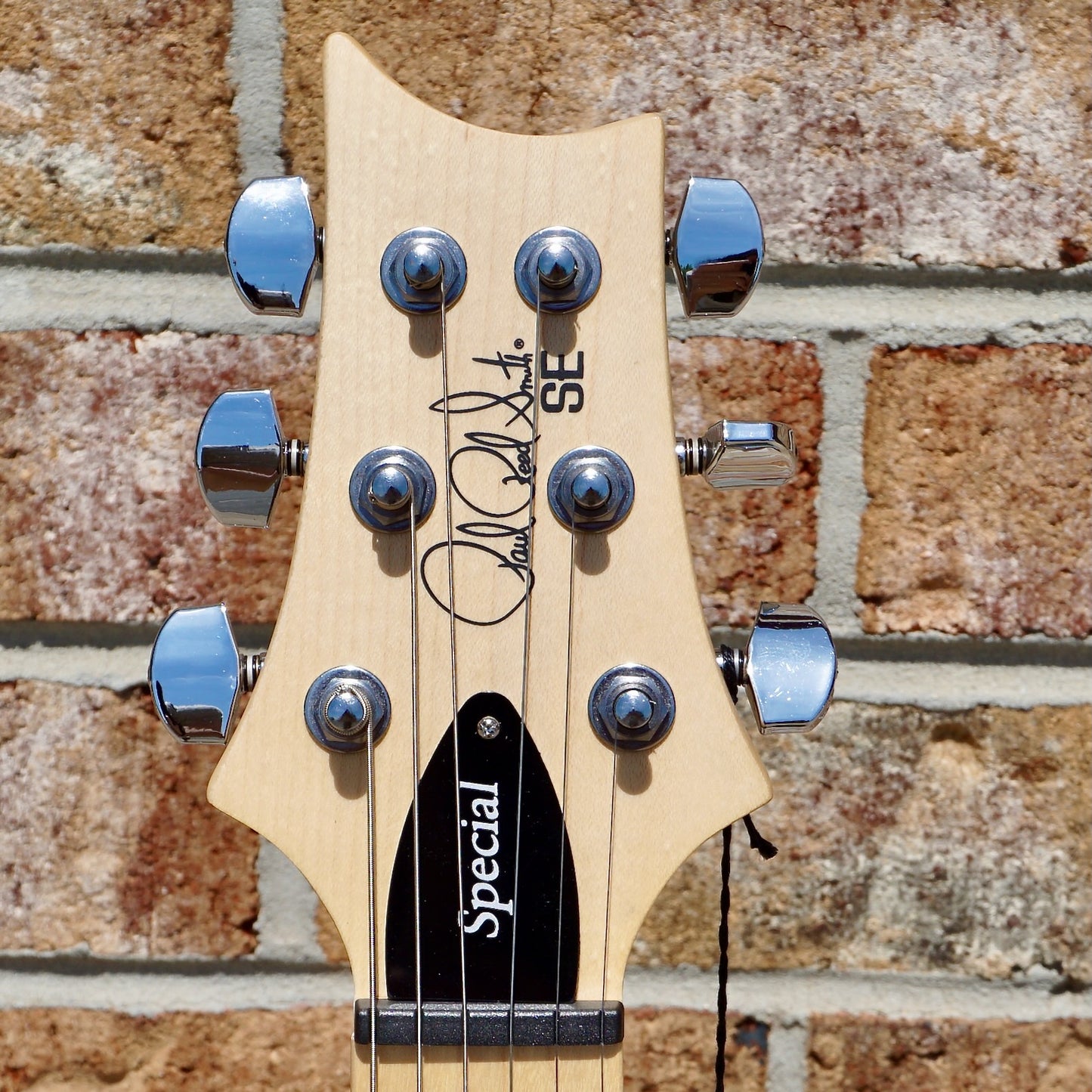 PRS SE Swamp Ash Special Iri Blue