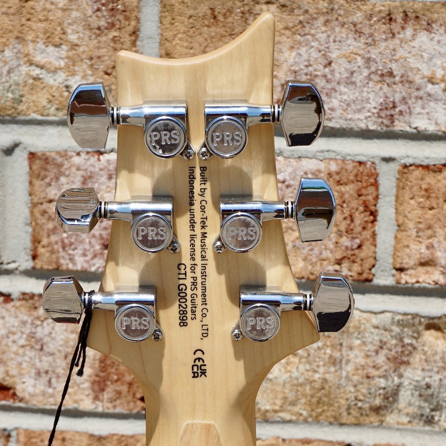 PRS SE Swamp Ash Special Iri Blue