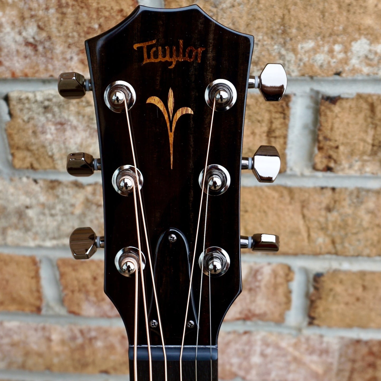Taylor NAMM Show Custom #9 C11e-B4009 Grand Theater Sitka Spruce/Ribbon Mahogany