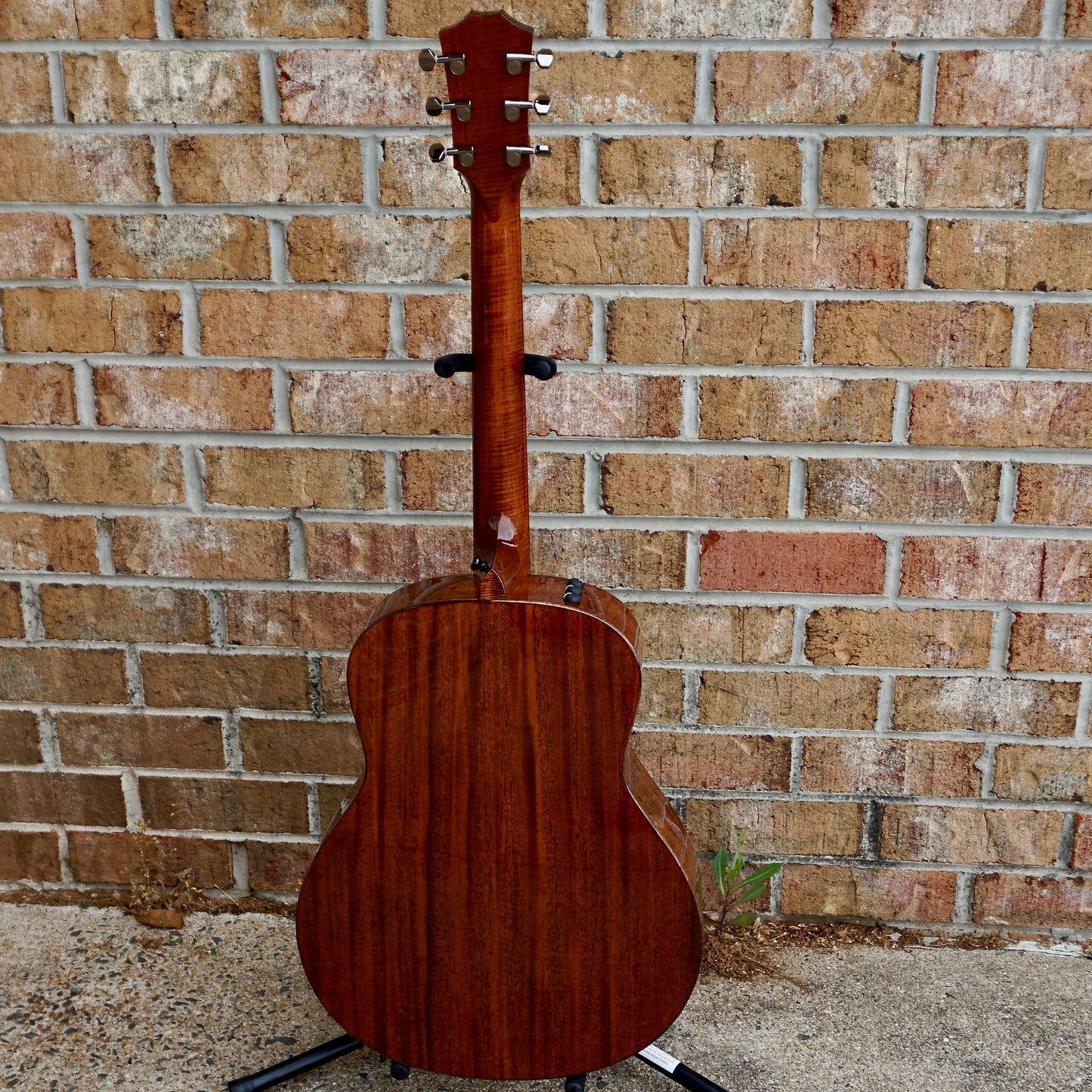 Taylor NAMM Show Custom #9 C11e-B4009 Grand Theater Sitka Spruce/Ribbon Mahogany