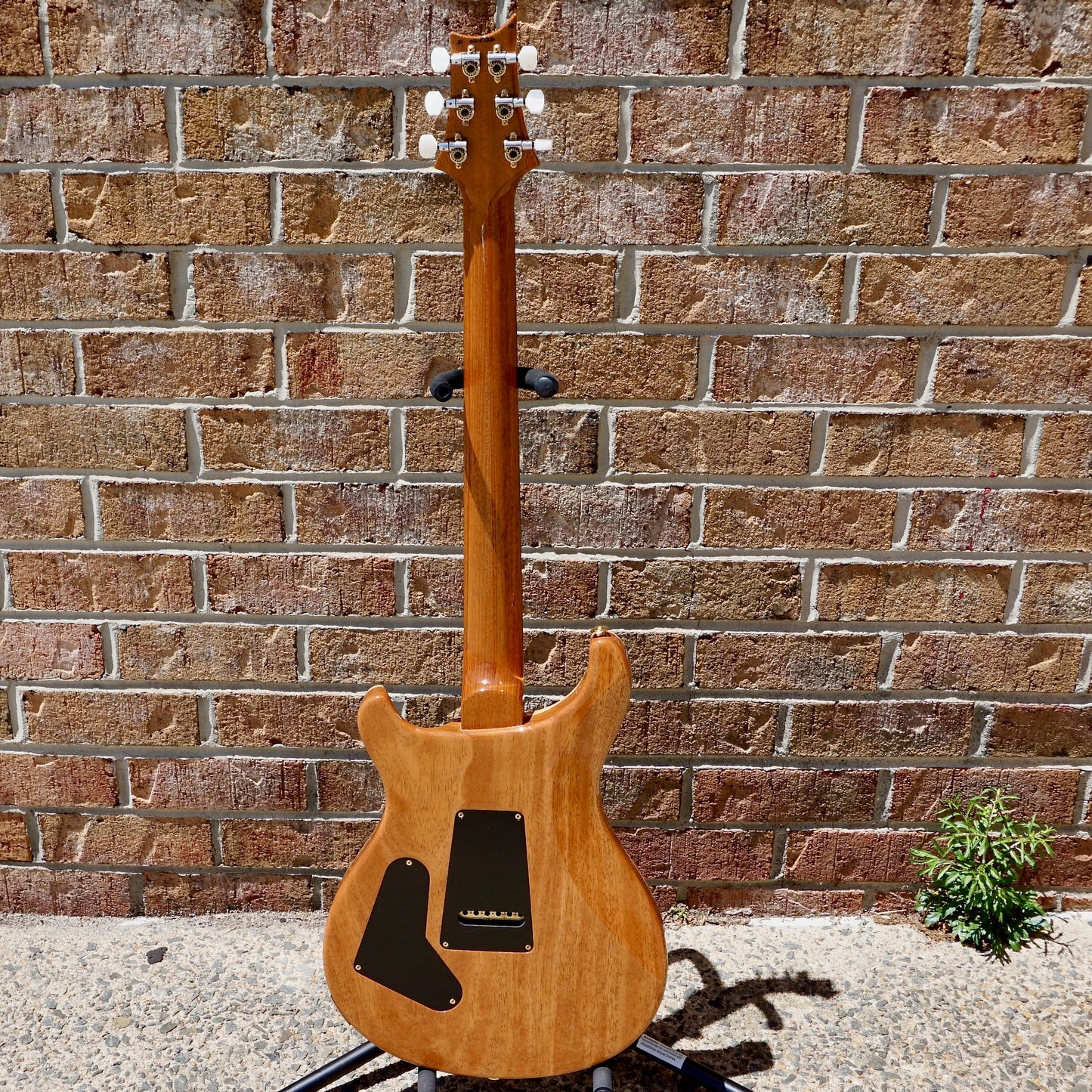 PRS 35th Anniversary Custom 24-08 10 Top Yellow Tiger
