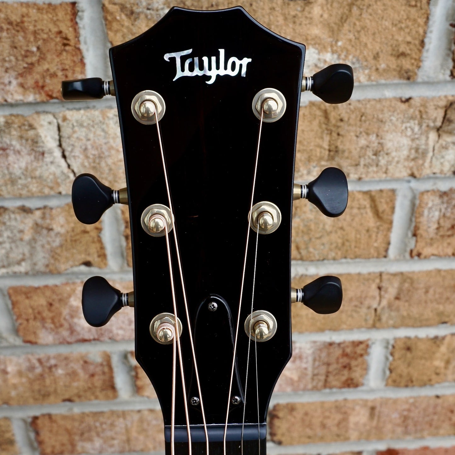 Taylor Custom #7 NAMM Show B4007 - Grand Concert, Lutz Spruce/Flamed Maple