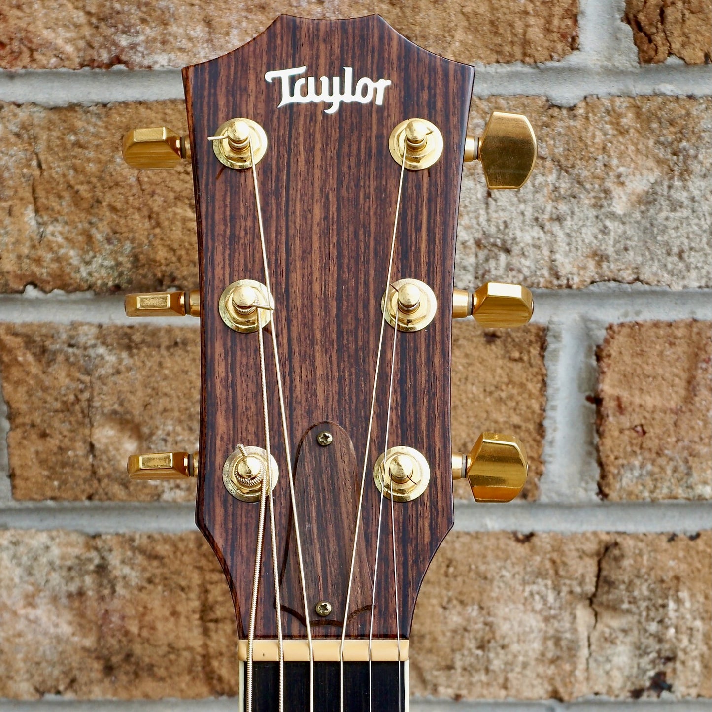 Taylor GS MS Sitka Spruce // Big Leaf Maple 2006