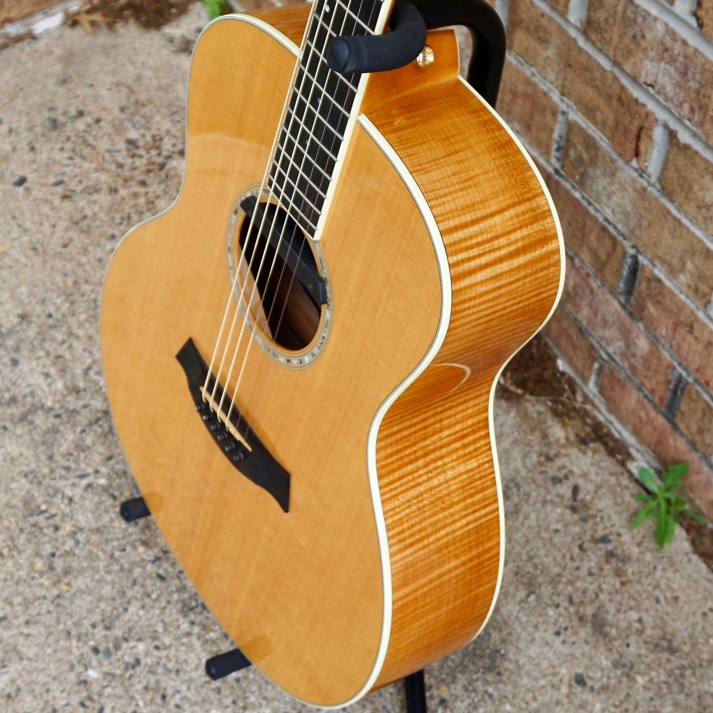 Taylor GS MS Sitka Spruce // Big Leaf Maple 2006