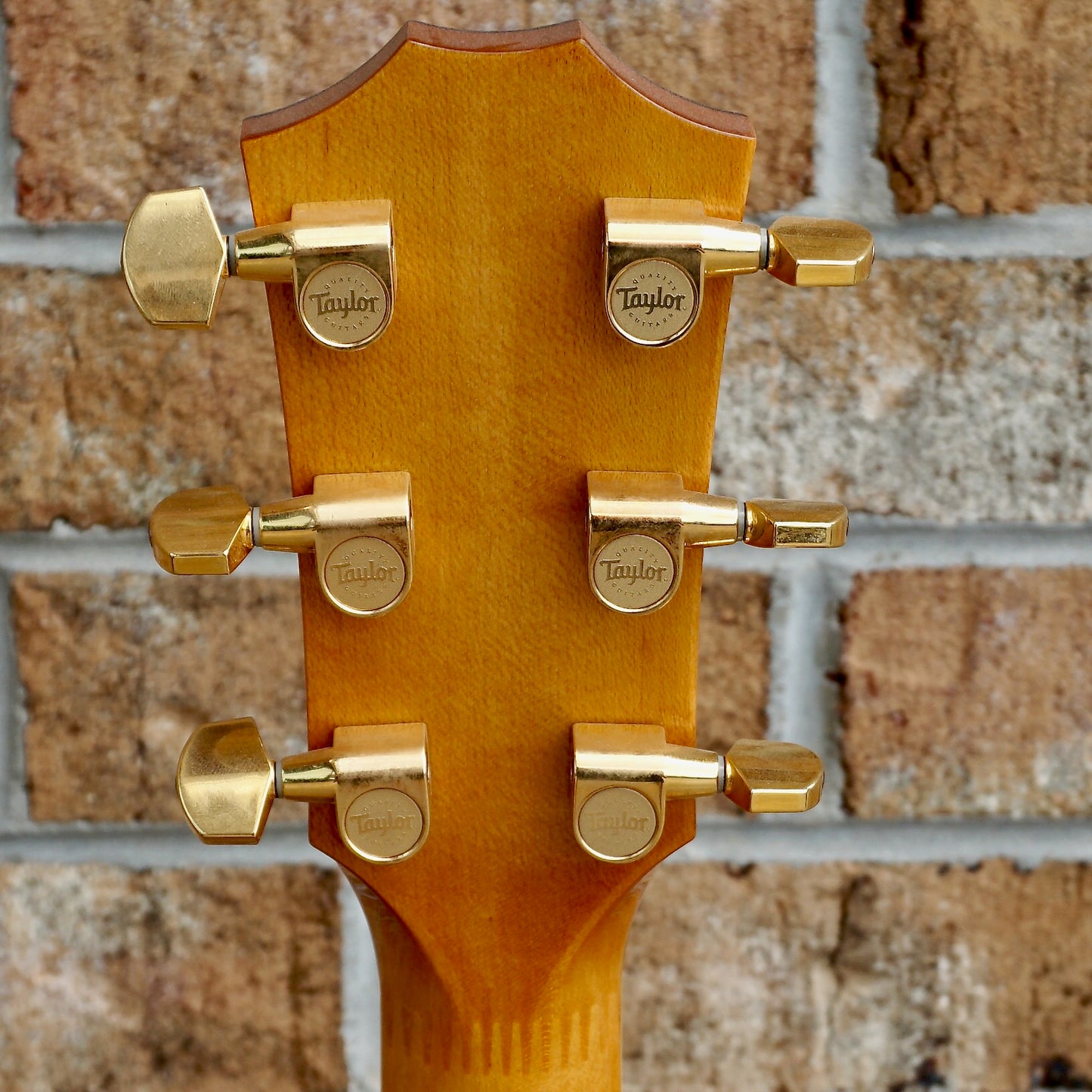 Taylor GS MS Sitka Spruce // Big Leaf Maple 2006