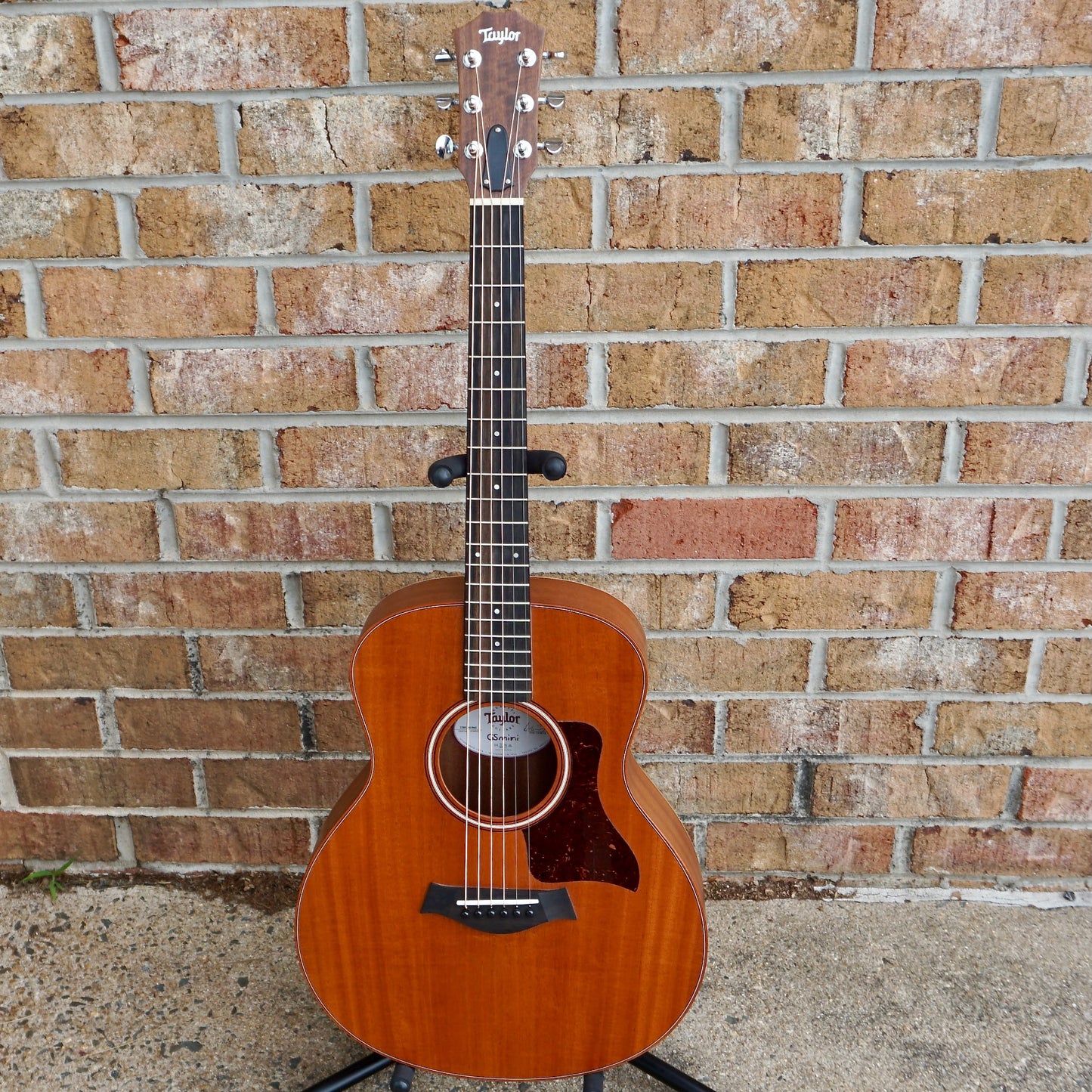 Taylor GS Mini Mahogany