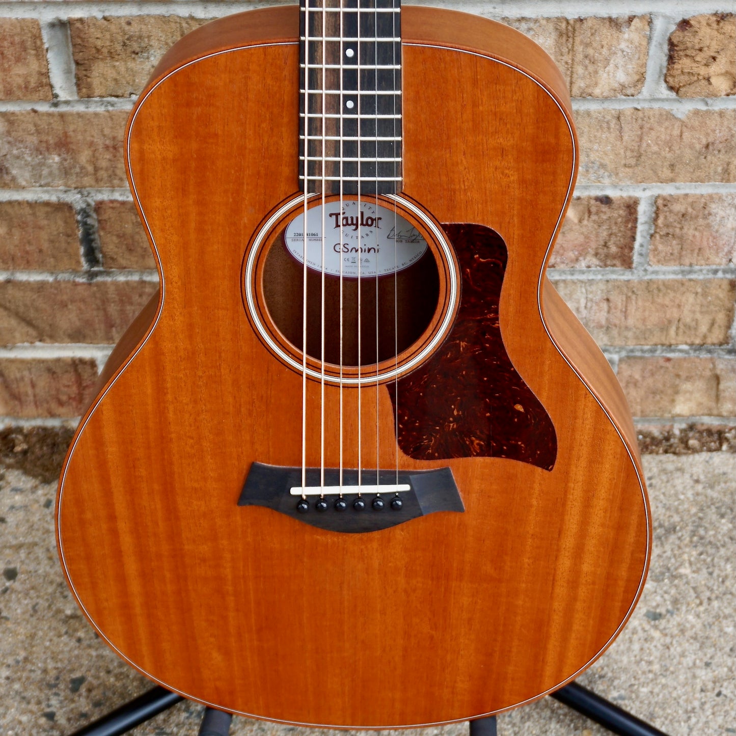 Taylor GS Mini Mahogany