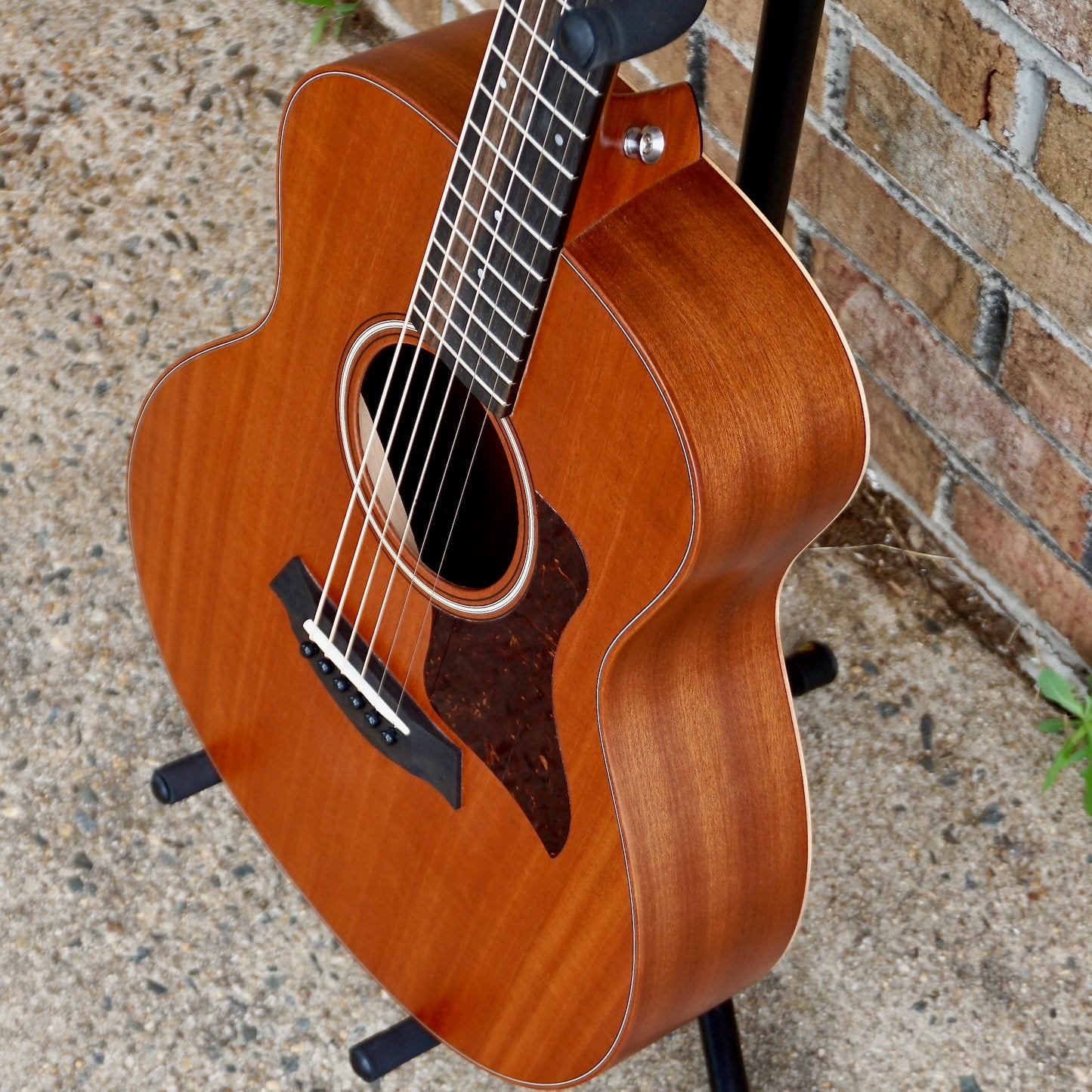 Taylor GS Mini Mahogany