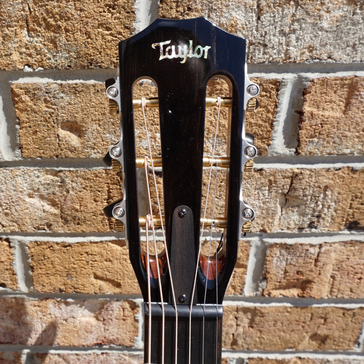 NAMM 2023 Taylor Custom Build first of 20: Grand Concert, Western Red Cedar/Figured Tasmanian Blackwood, 12-Fret