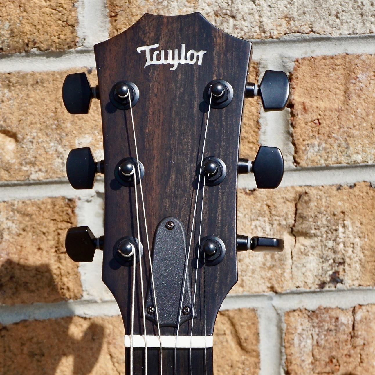Taylor T5z Classic Koa