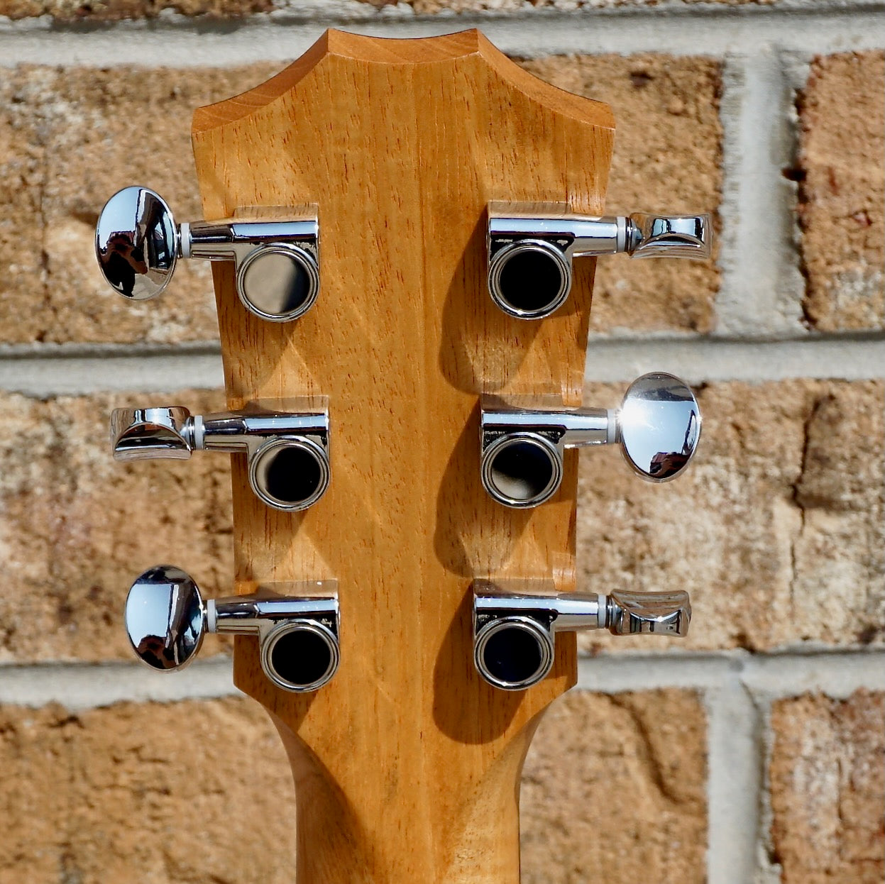 Taylor GS Mini Mahogany