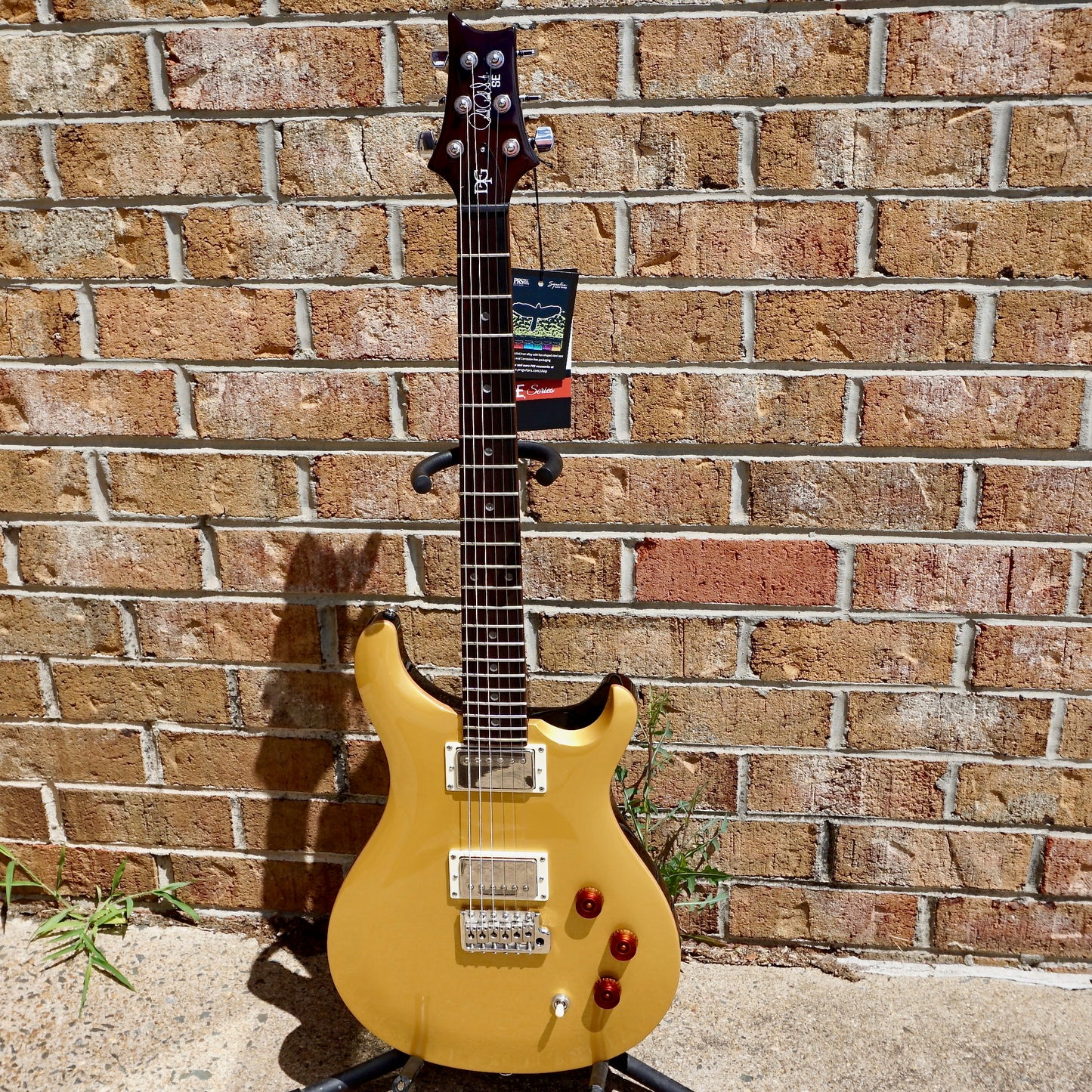 PRS SE DGT Gold Top
