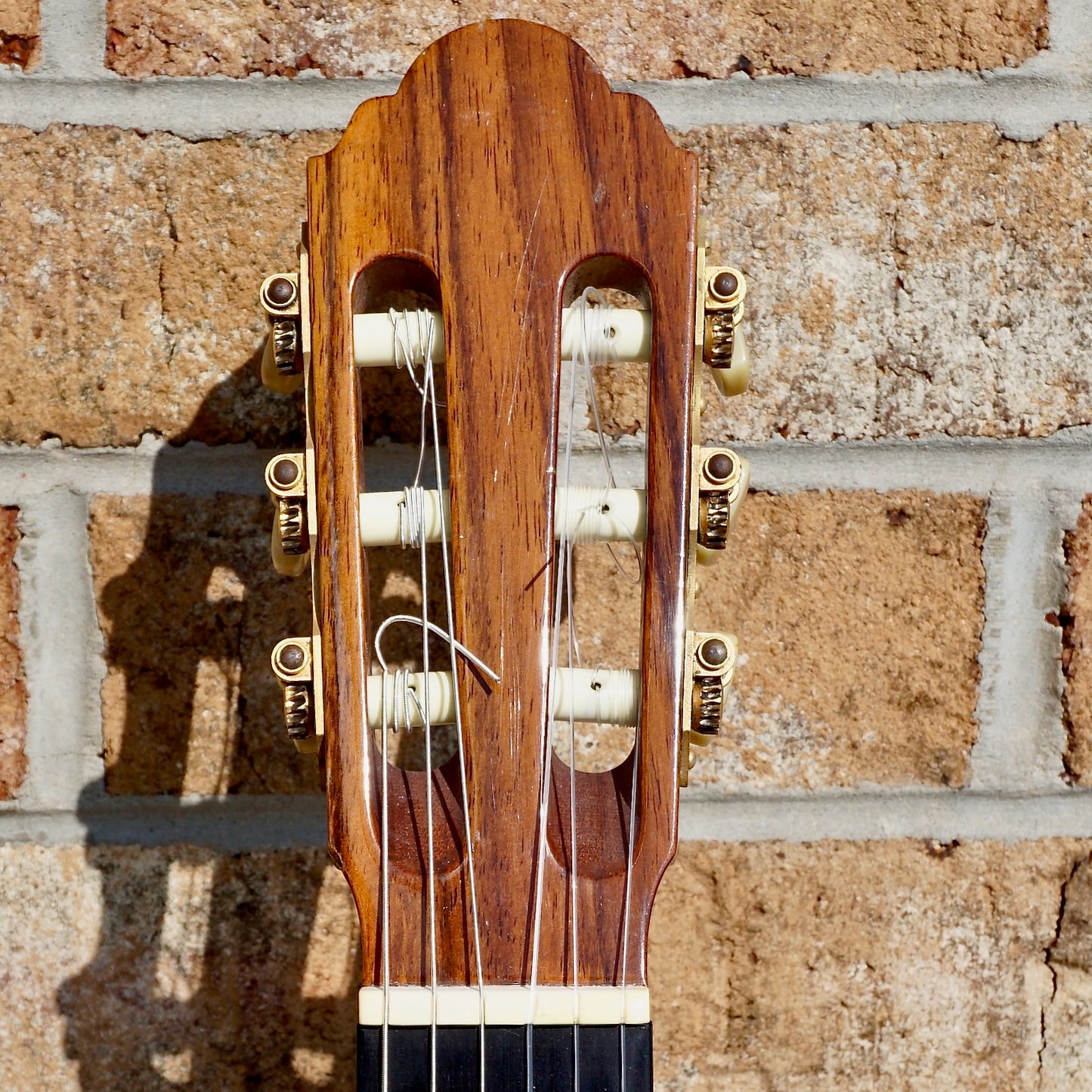 Dieter Hopf Professional Classical 1979