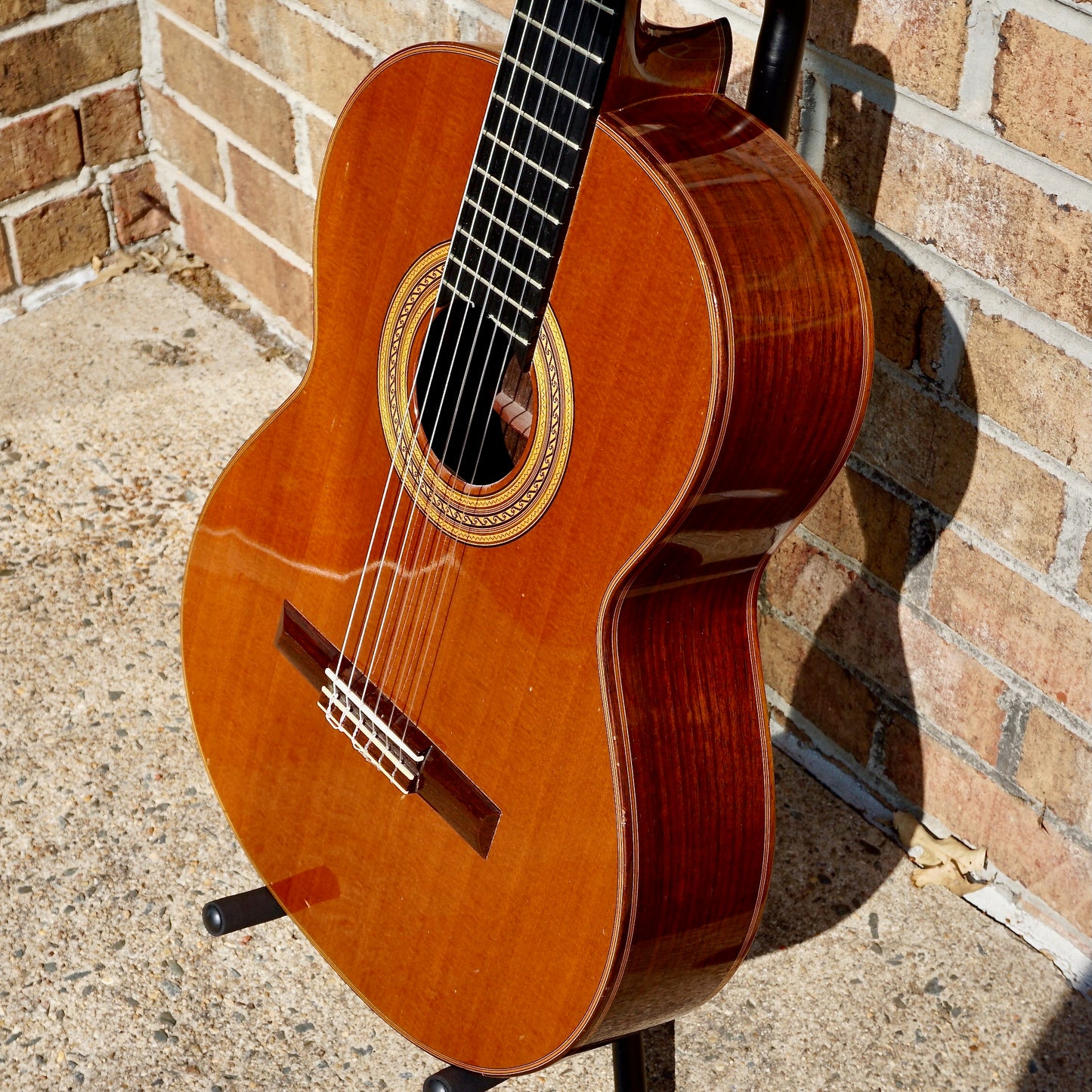 Dieter Hopf Professional Classical 1979