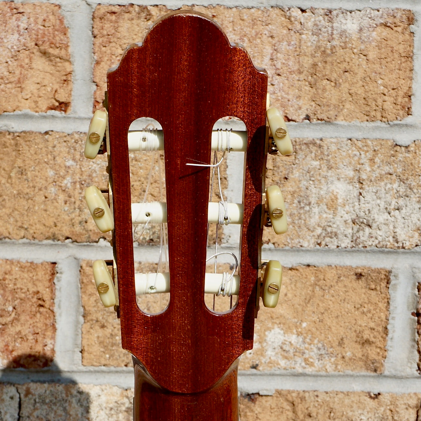 Dieter Hopf Professional Classical 1979