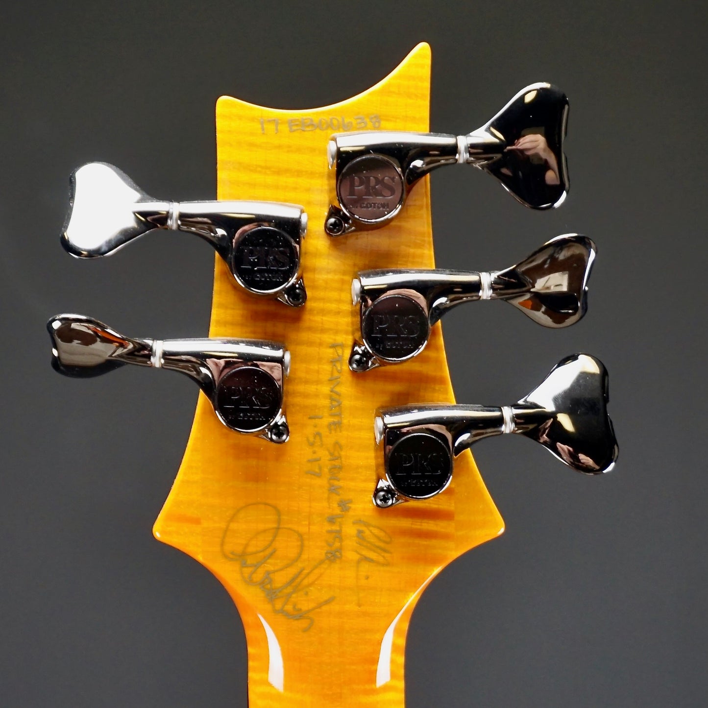 PRS NOS 2017 Namm Show Private Stock Gary Grainger 5 String Fretless Bass Dragons Breath Glow