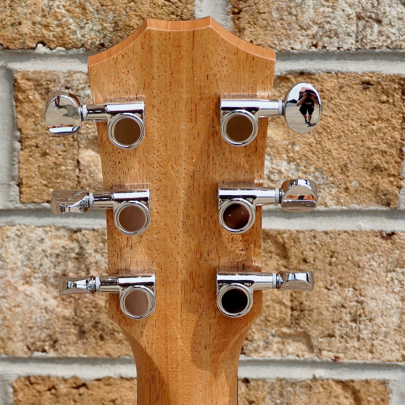 Taylor GS Mini Mahogany