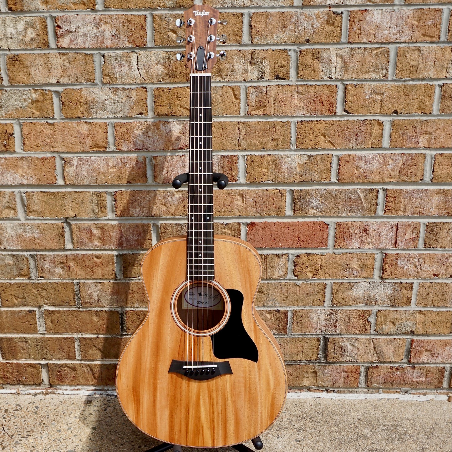 Taylor GS Mini Mahogany