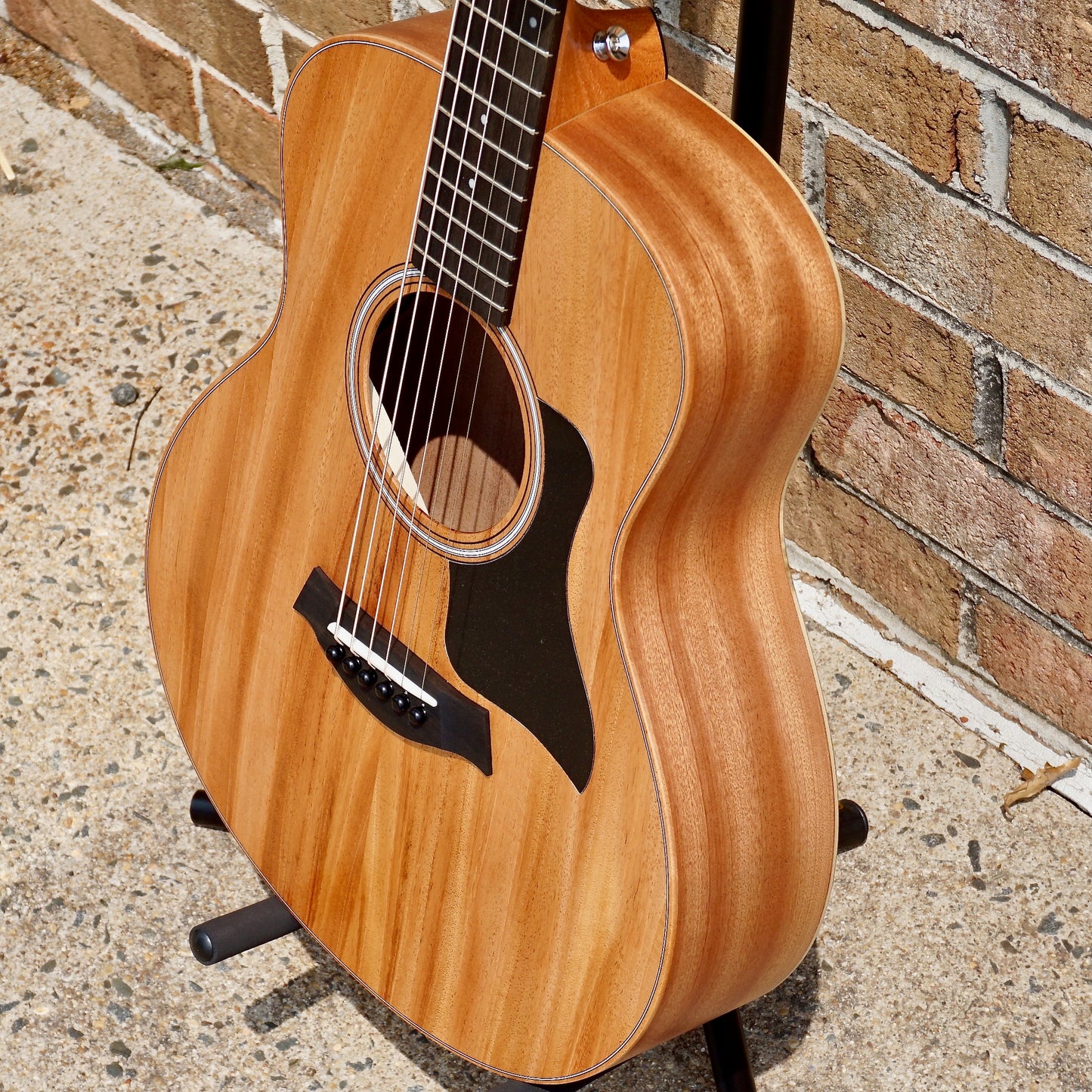 Taylor GS Mini Mahogany