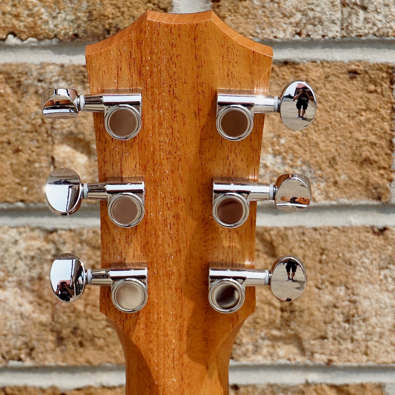 Taylor GS Mini Mahogany