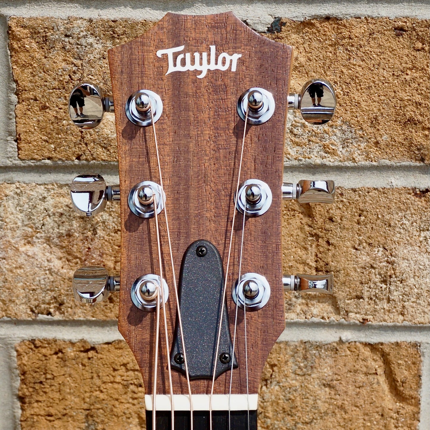 Taylor GS Mini Mahogany