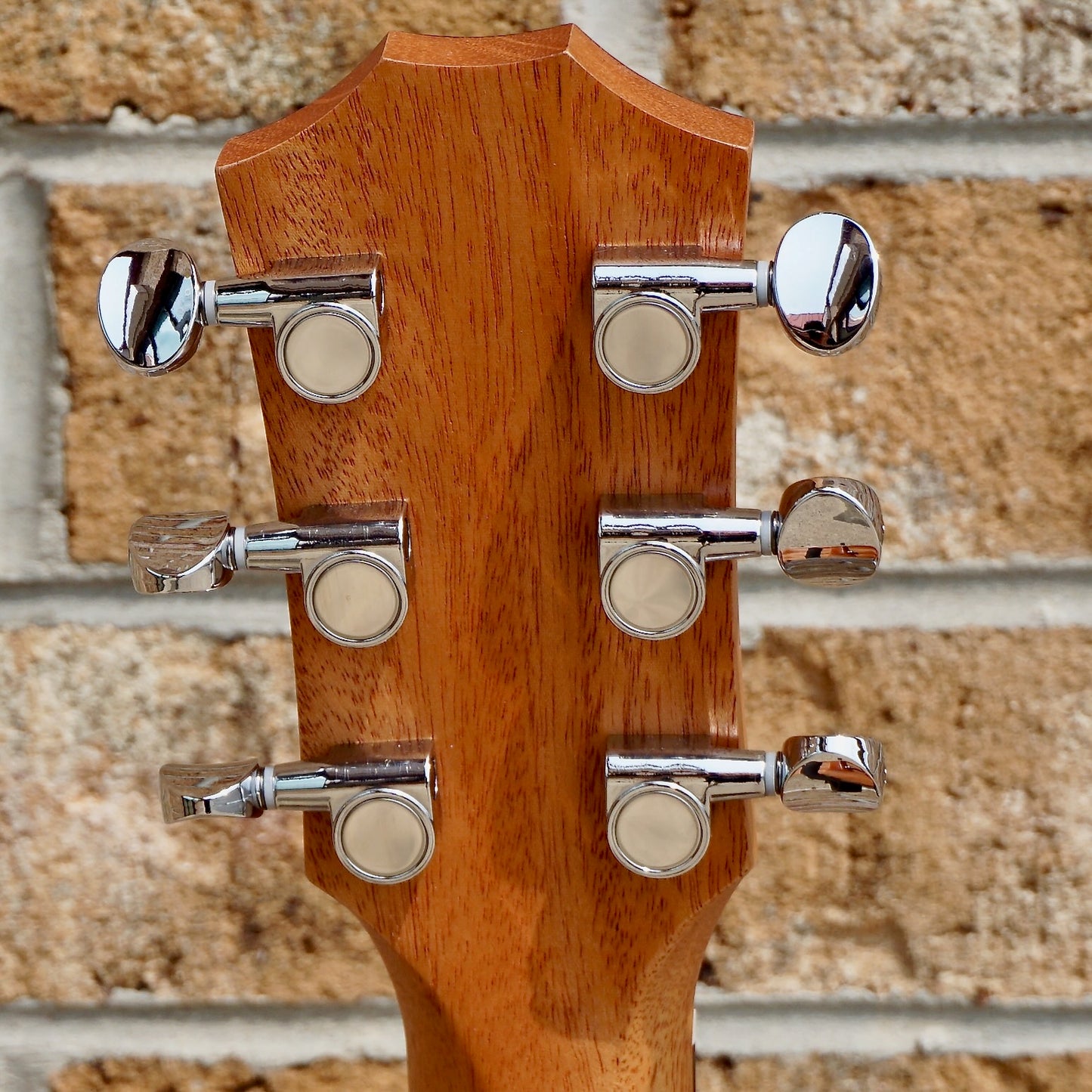 Taylor GS Mini Mahogany