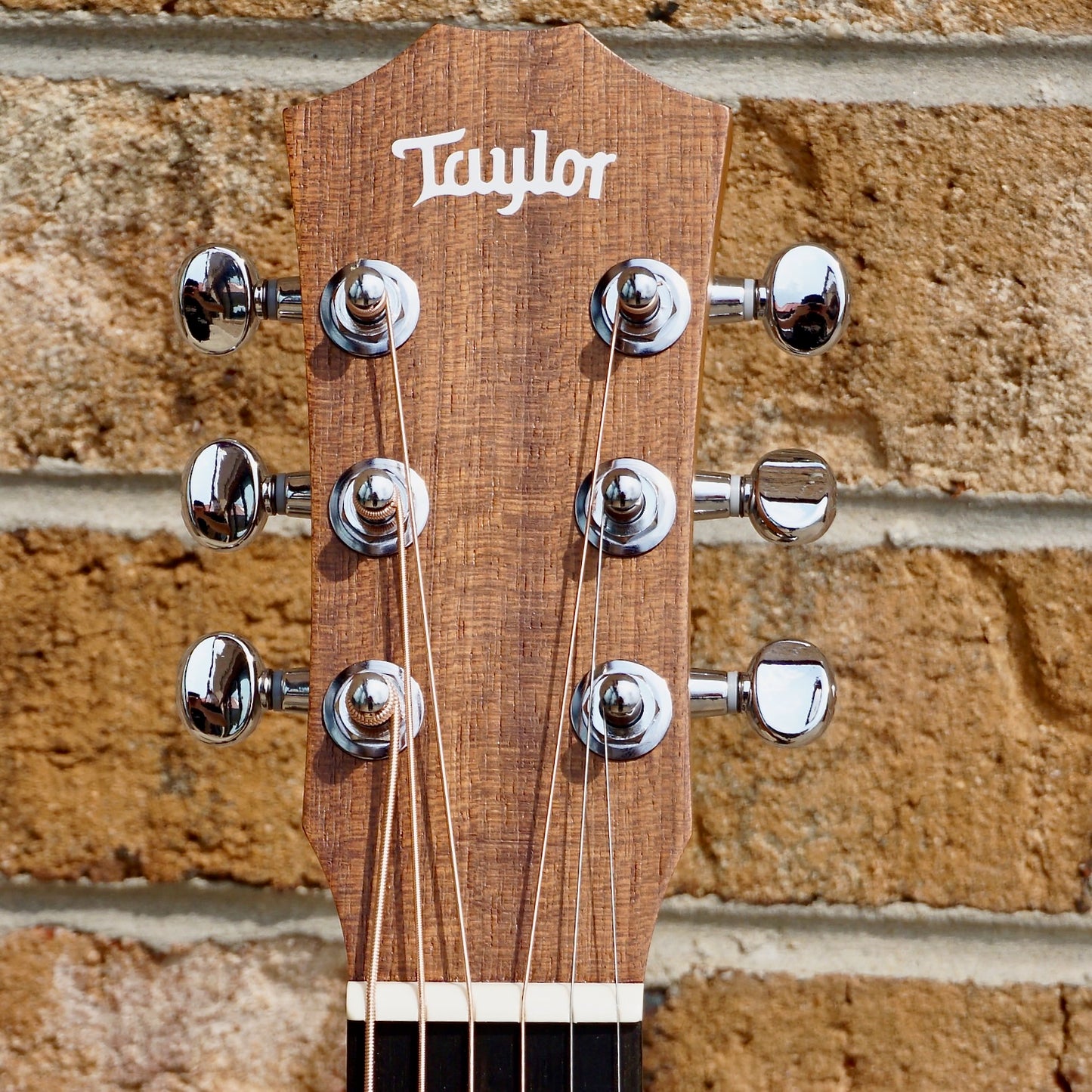 Taylor Baby Taylor (BT1)