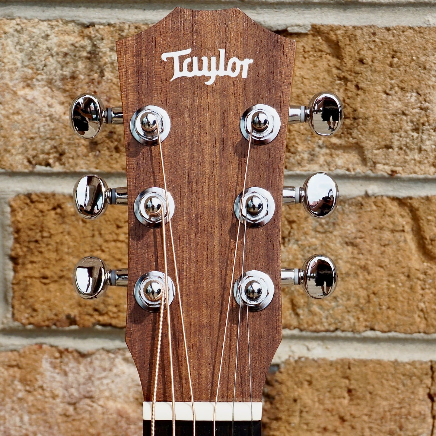 Taylor Baby Taylor (BT1)