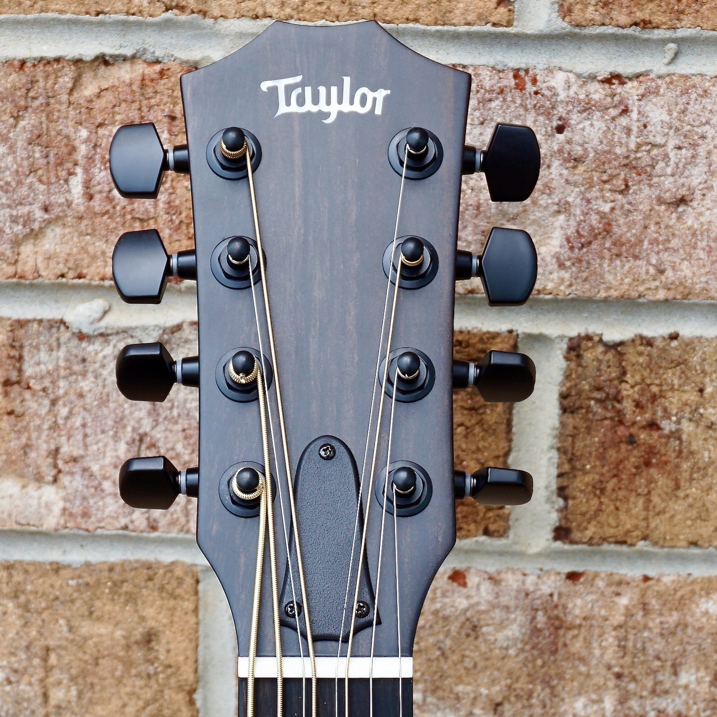 Taylor 326ce Baritone-8 Special Edition