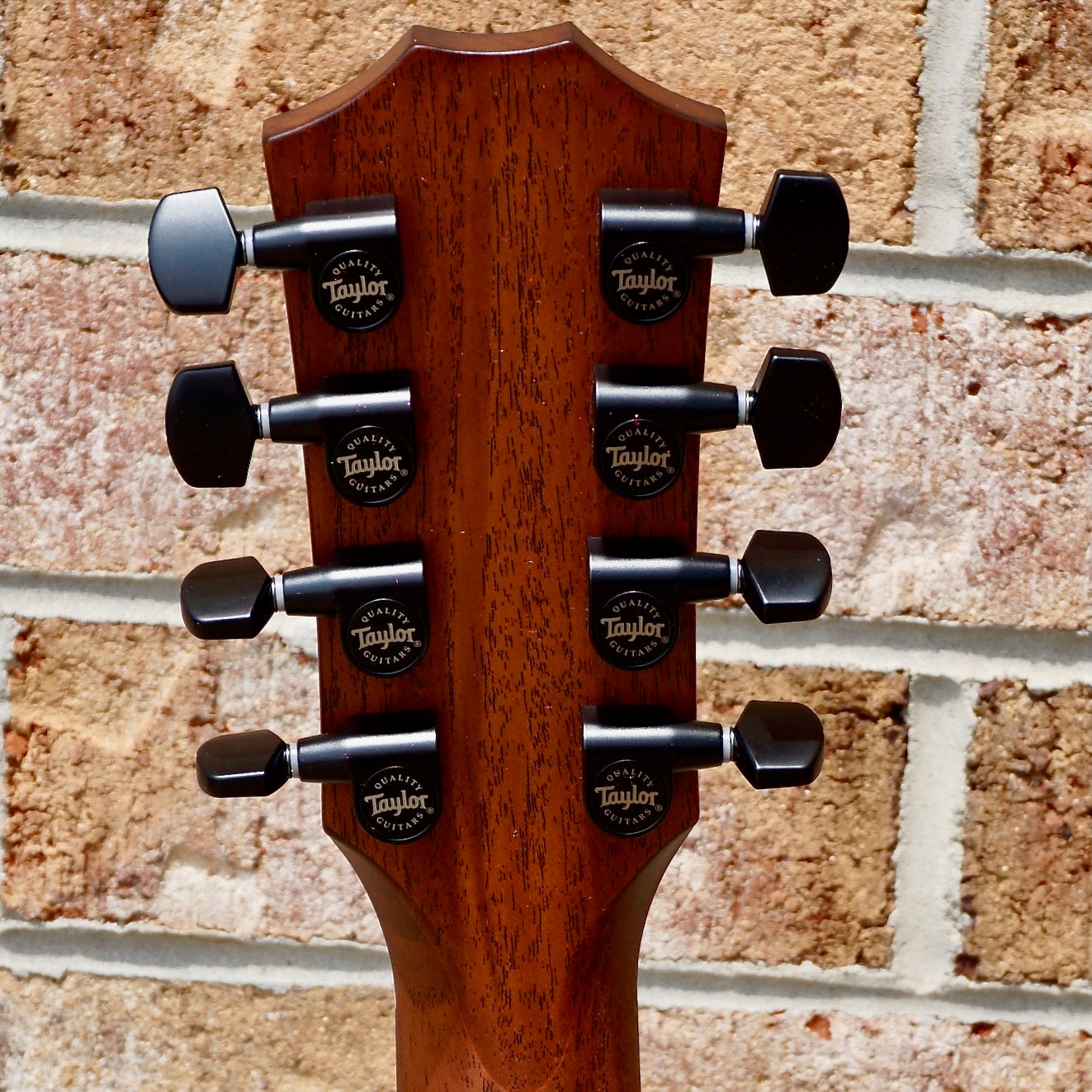 Taylor 326ce Baritone-8 Special Edition