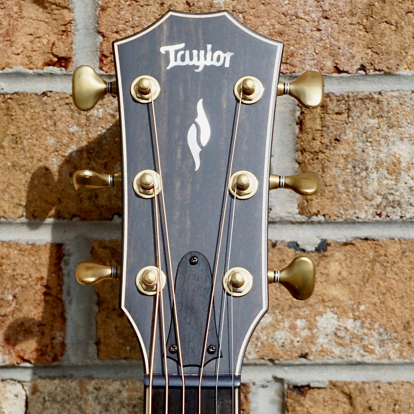 Taylor Builder's Edition 814ce Black Top