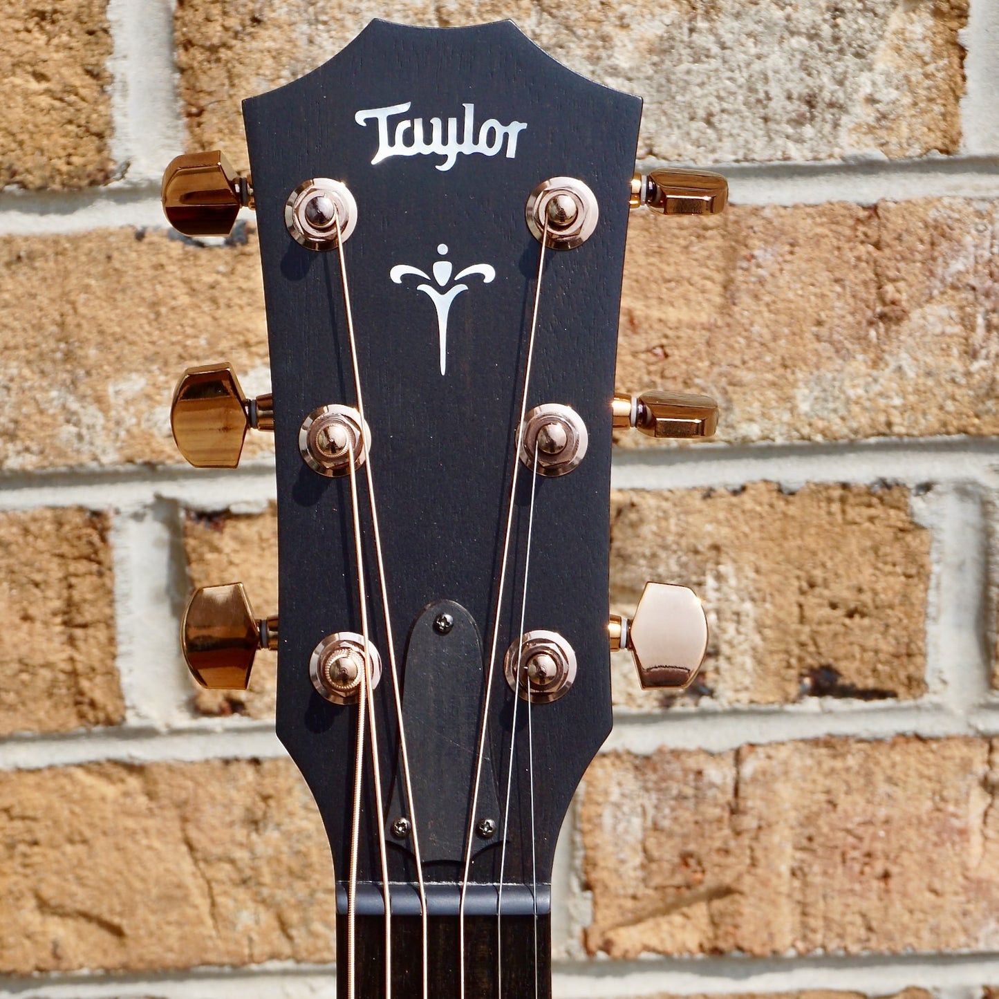 Taylor 724ce
